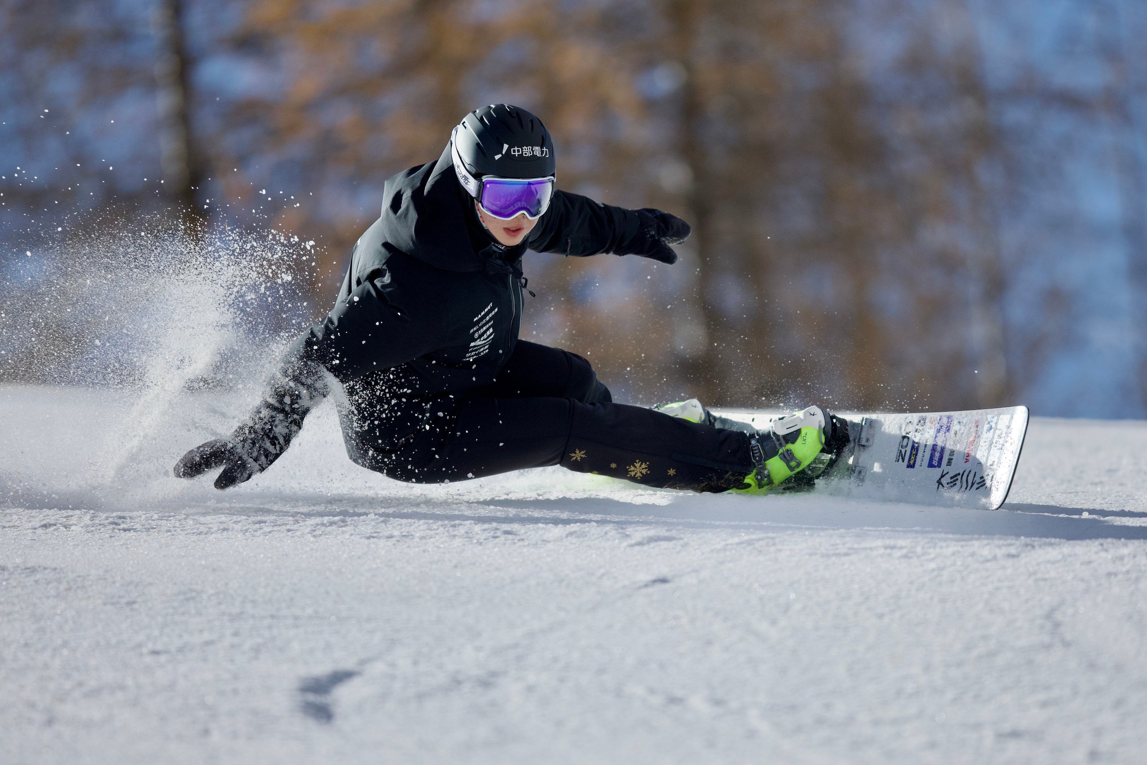 三木(みき)つばき選