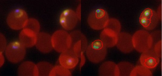 画像が削除されました