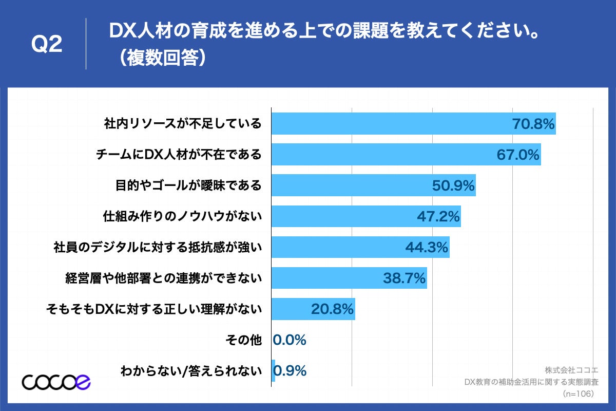 Q2.DX人材の育成を進める上での課題を教えてください。（複数回答）