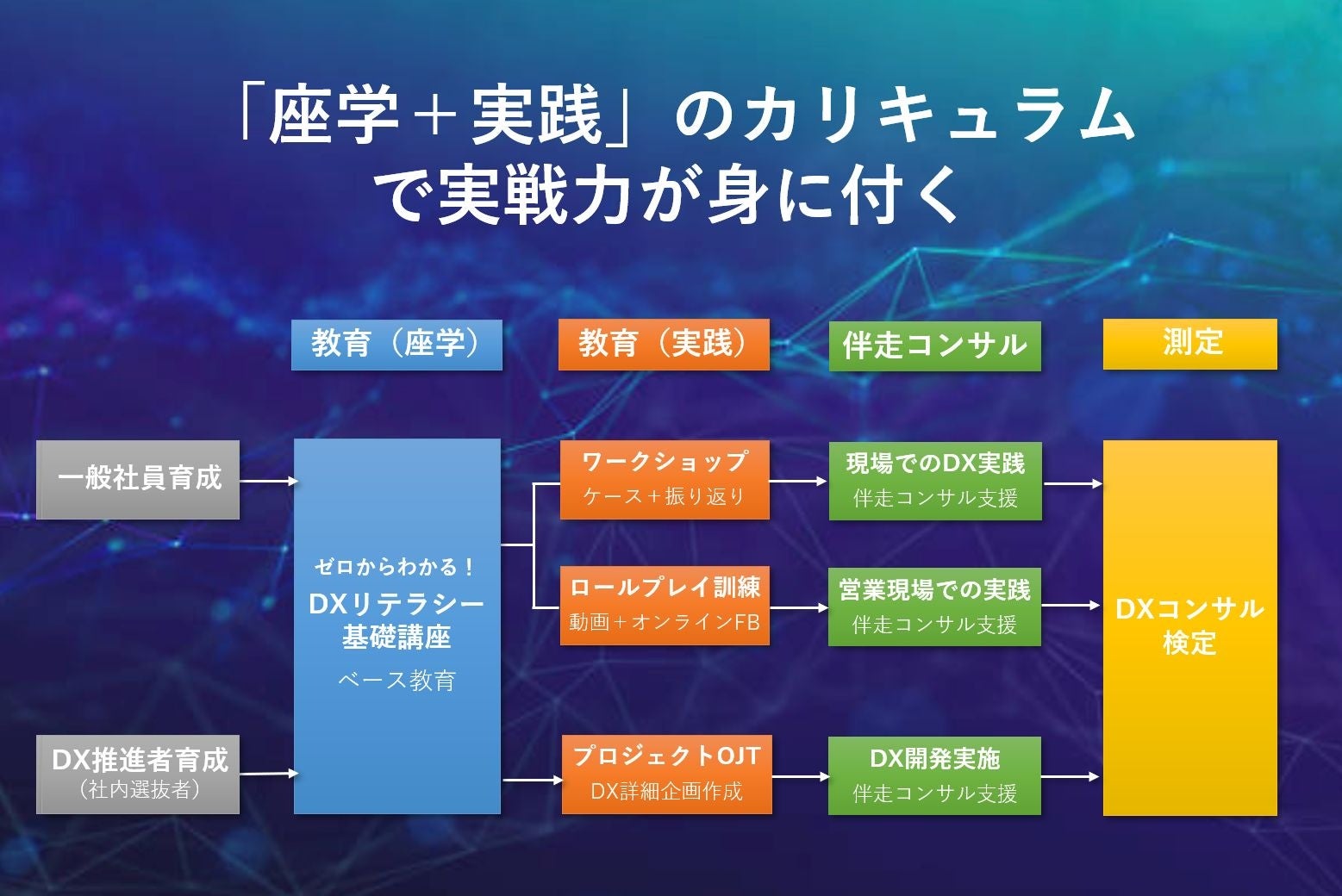 ココエのDX人材育成カリキュラム
