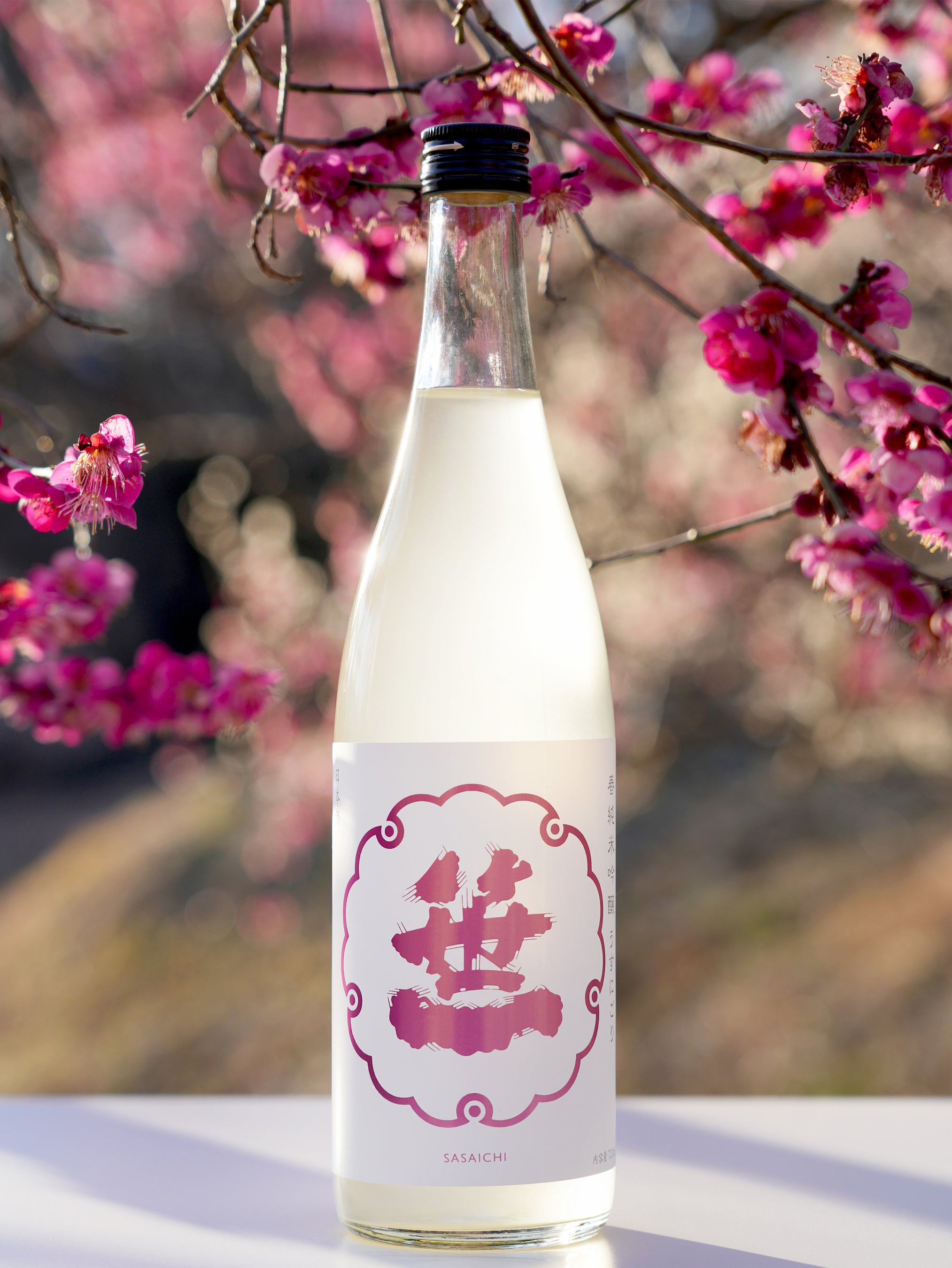 笹一春純米吟醸うすにごり