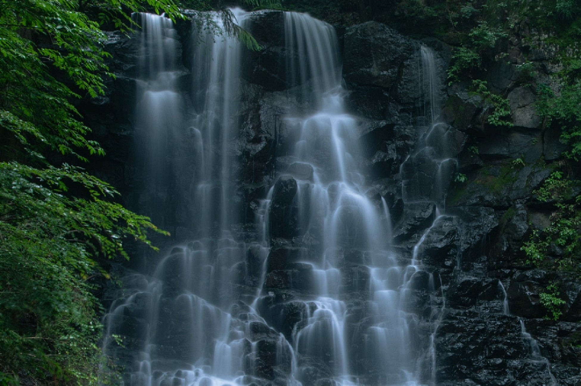 【星のや富士】母の白滝_イメージ