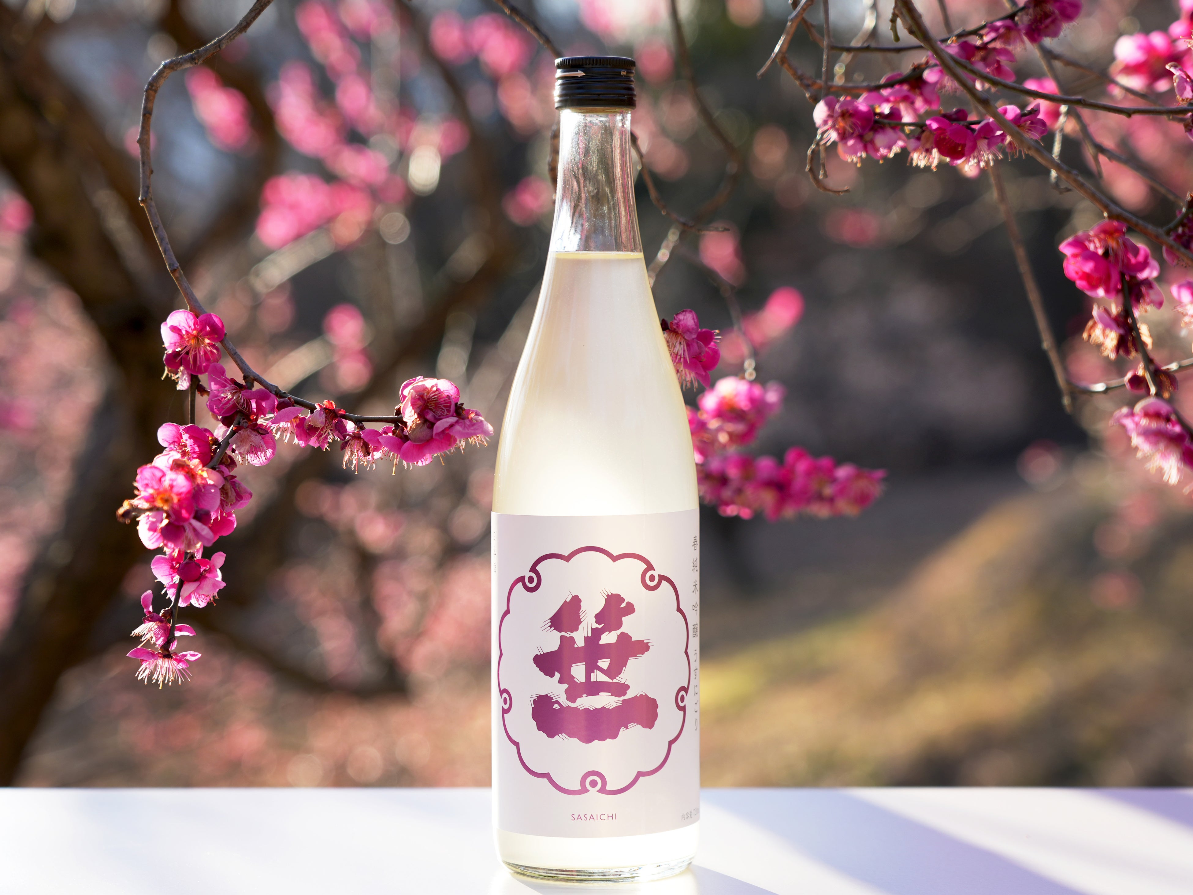 笹一春純米吟醸うすにごり