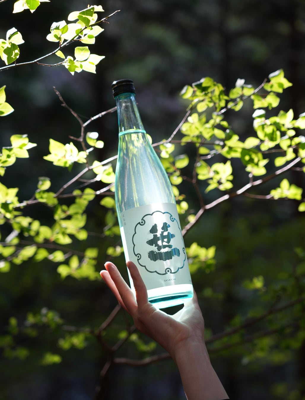 笹一夏純米吟醸