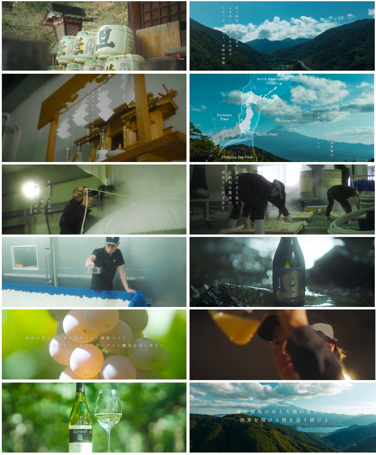 笹一酒造 惟神の道ピックアップ