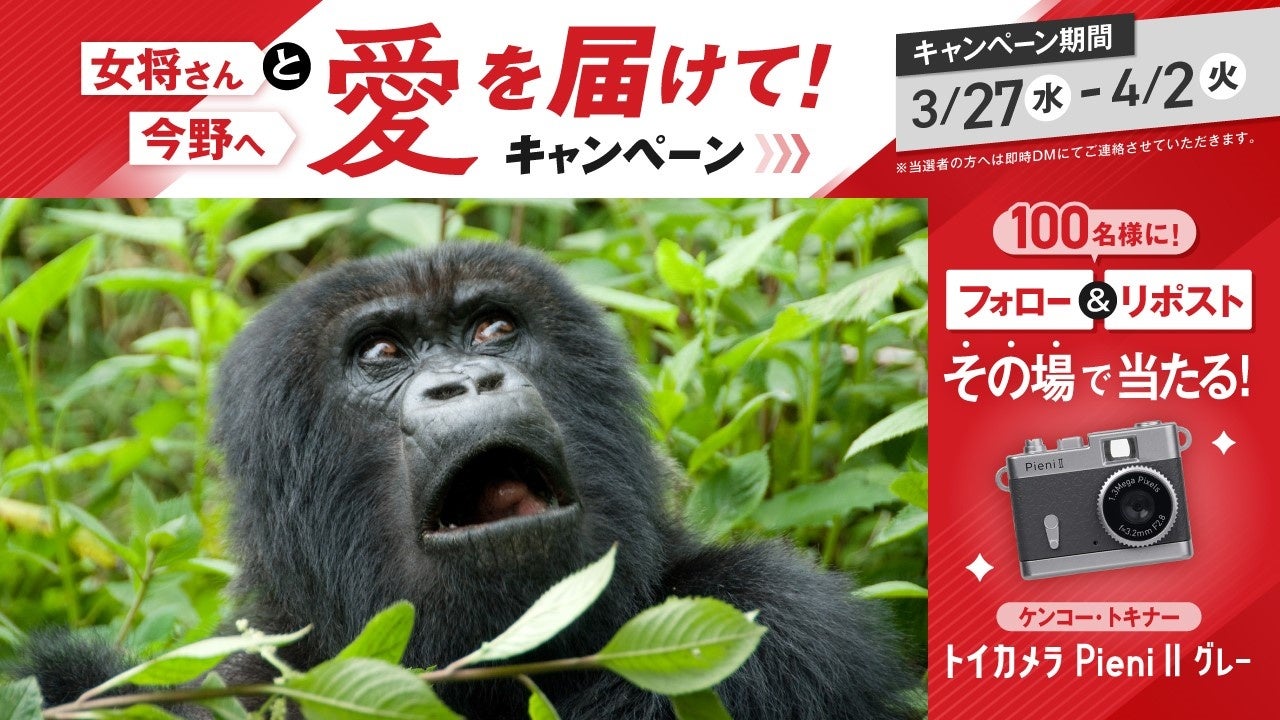 アイフル新CM「意外な女将さん」篇、大地真央&今野浩喜出演!キャンペーン情報も アイフル新CM「意外な女将さん」篇、大地真央&今野浩喜出演!キャンペーン情報も