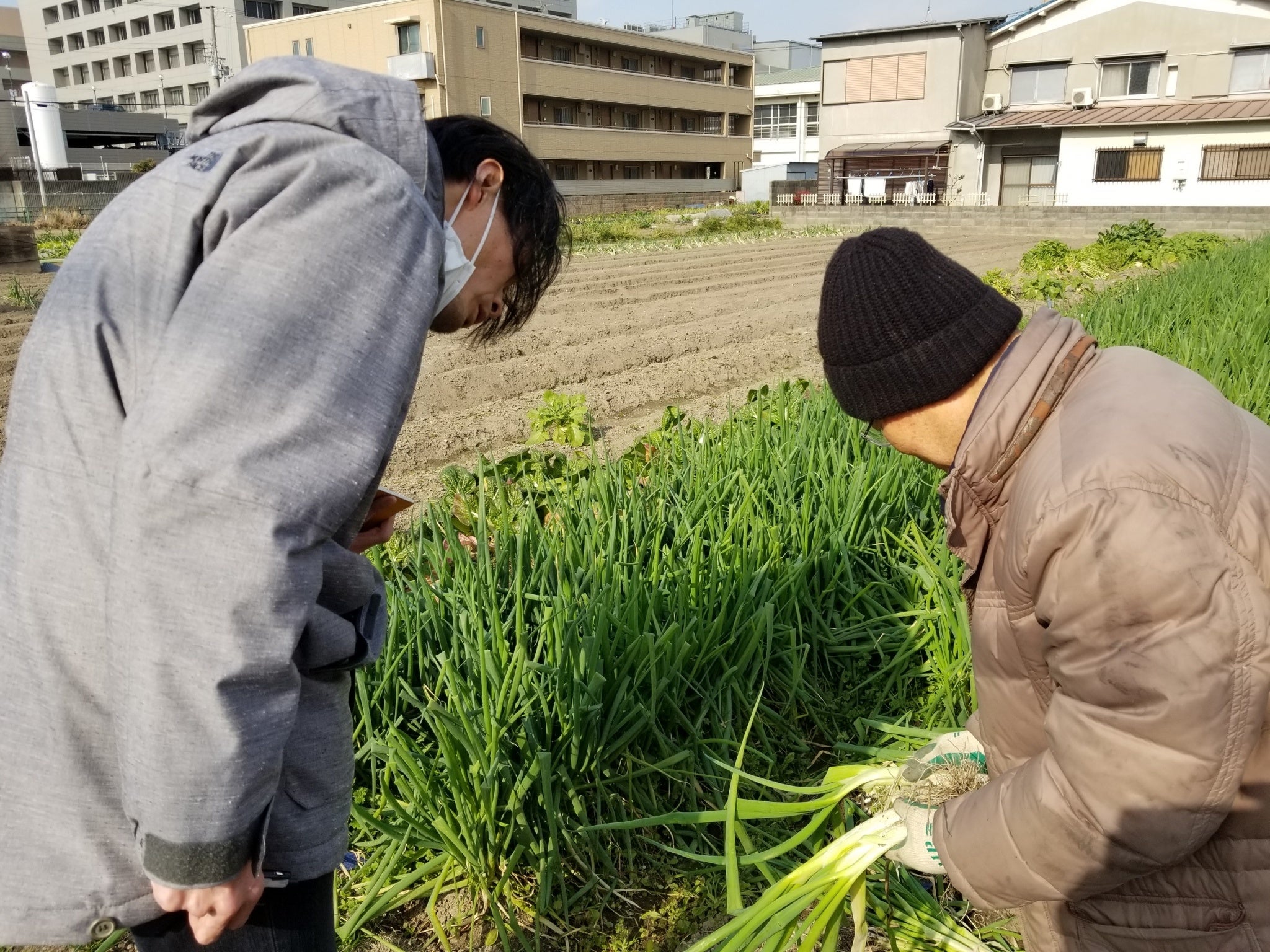 生産者様の様子