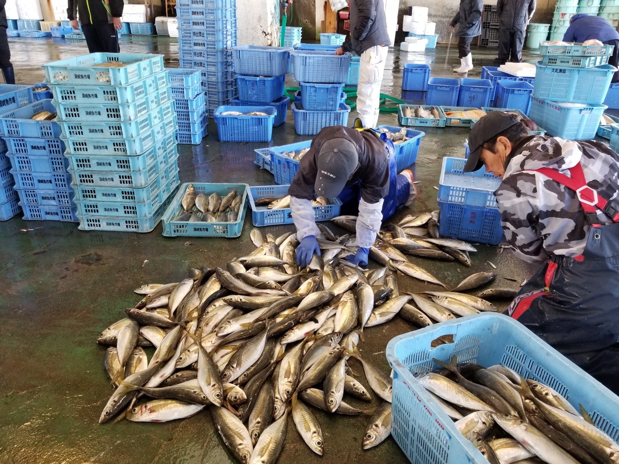 生産者様の様子