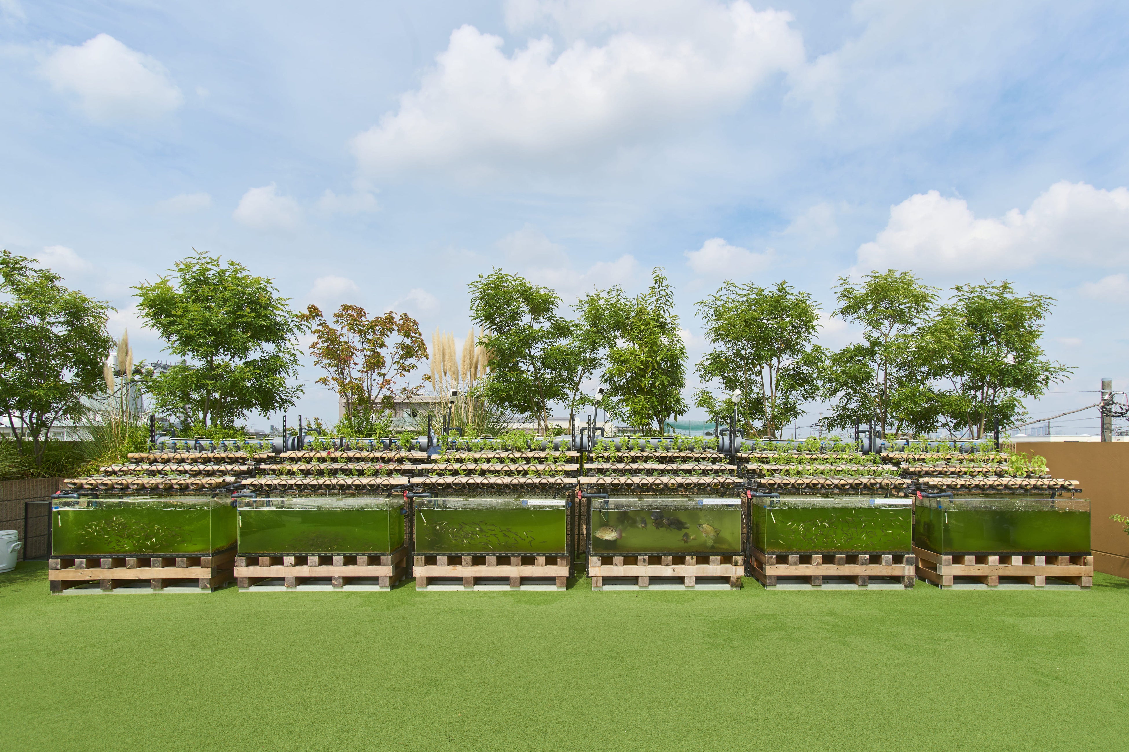 AGRIKO FARM 桜新町