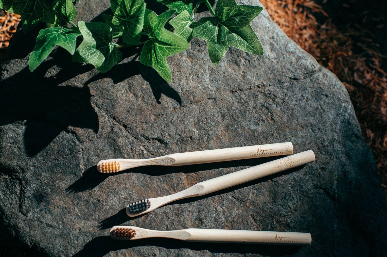 竹歯ブラシ極モデル