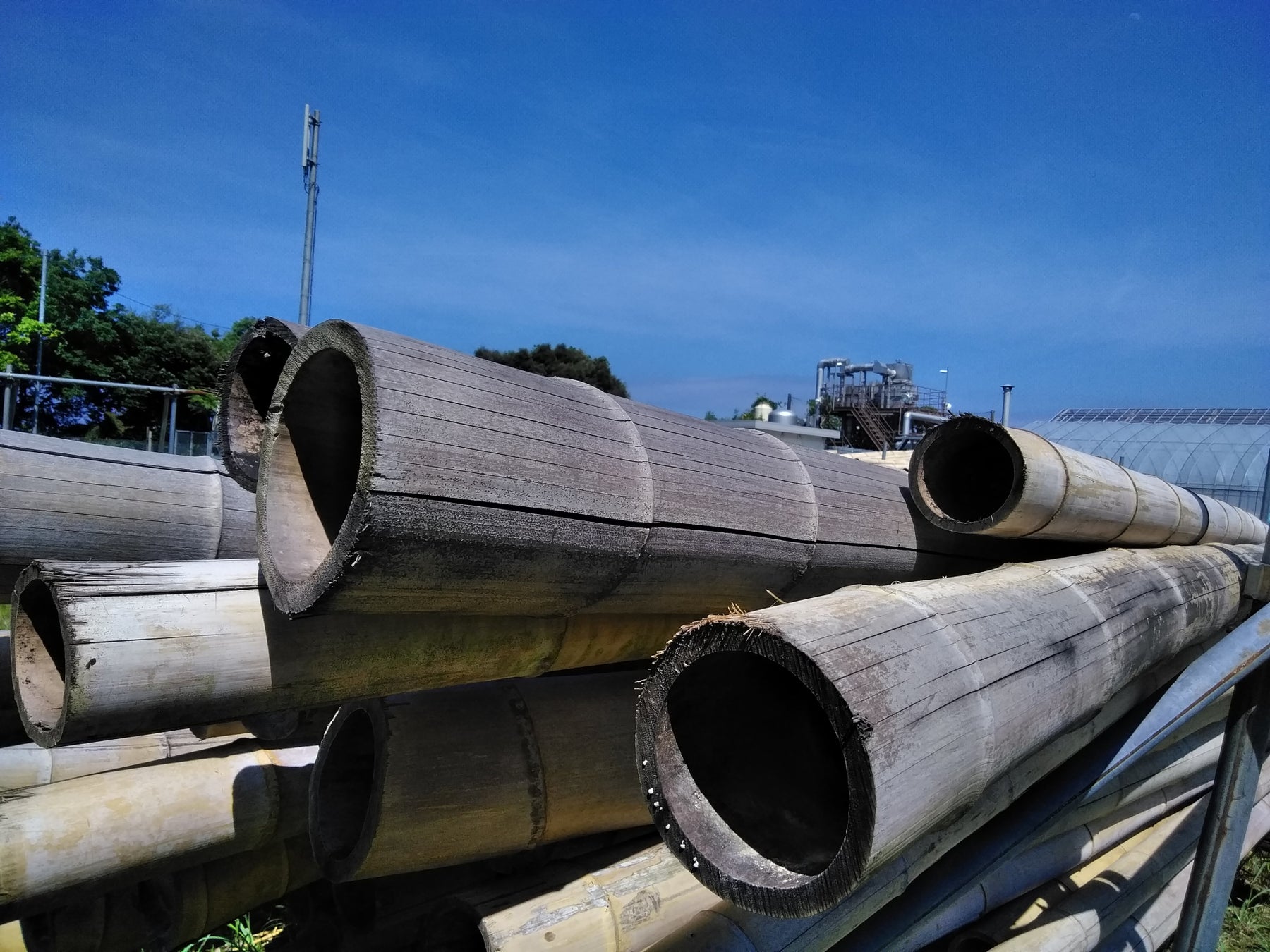 サンコール 京都府へ自社竹炭事業よりサステナブル オブジェ進呈 宮津市の竹害をクリーンに生かす サンコール株式会社のプレスリリース サンコール 京都府へ自社竹炭事業よりサステナブル オブジェ進呈 宮津市の竹害をクリーンに生かす サンコール株式会社のプレスリリース