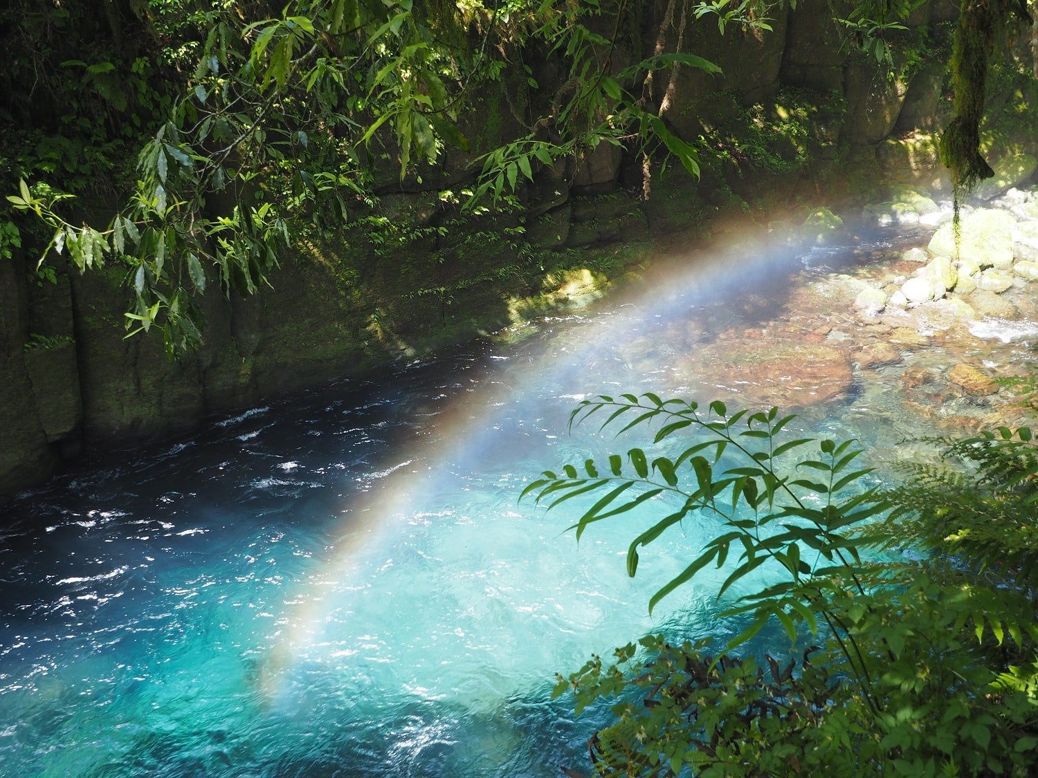 水の美しい菊池市（菊池渓谷）