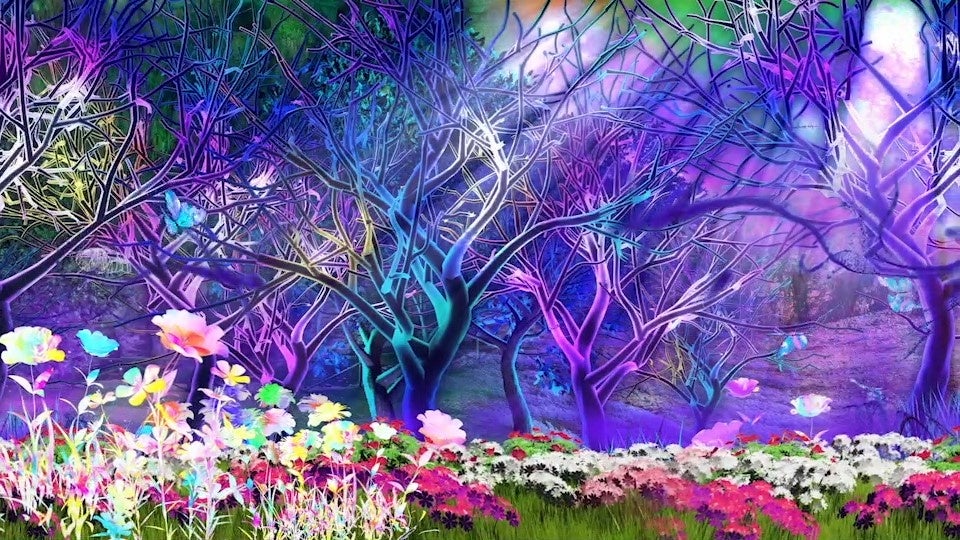 ※この景色の先にあるものとは・・・　