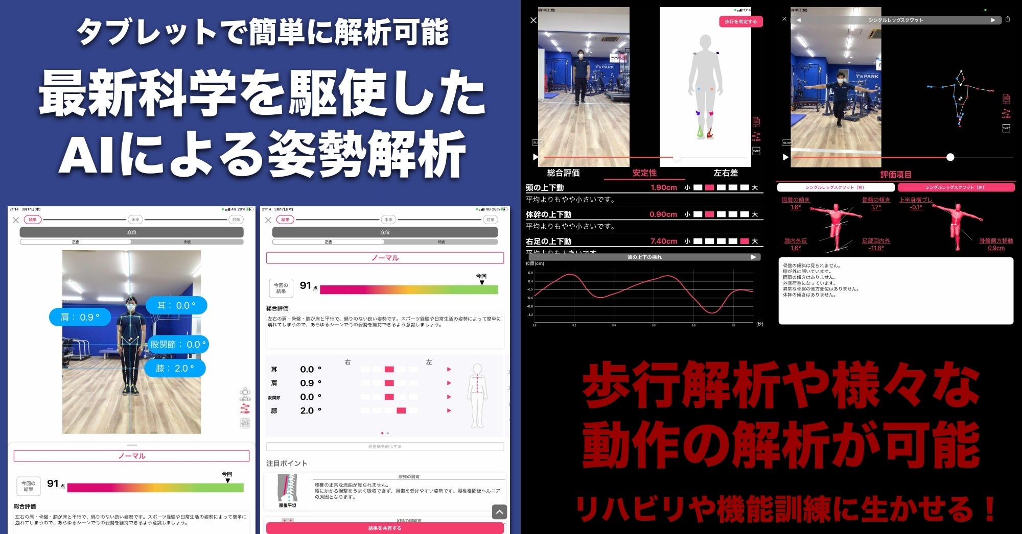 AIシステムによる身体評価