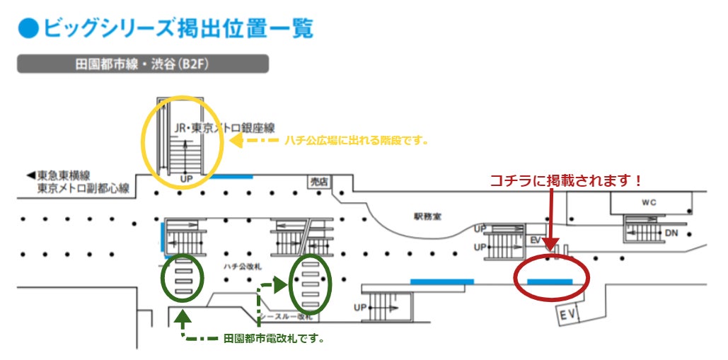 掲載位置