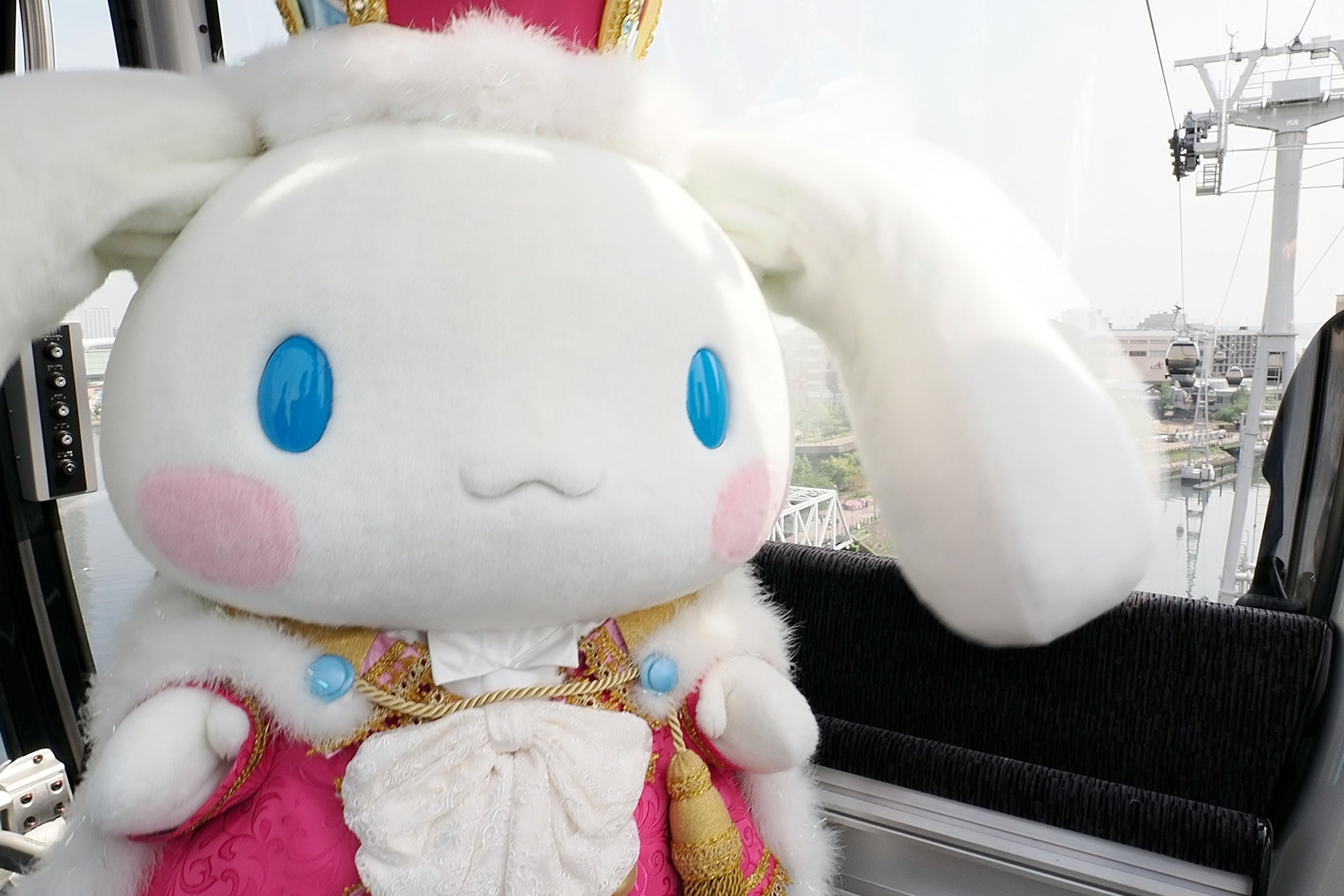 横浜の空を“シナモン”が飛んだ⁉ | 株式会社TMエンタテインメントの