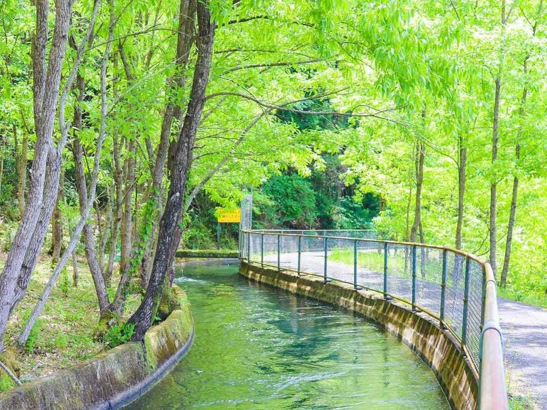 農業用水路「立梅用水」