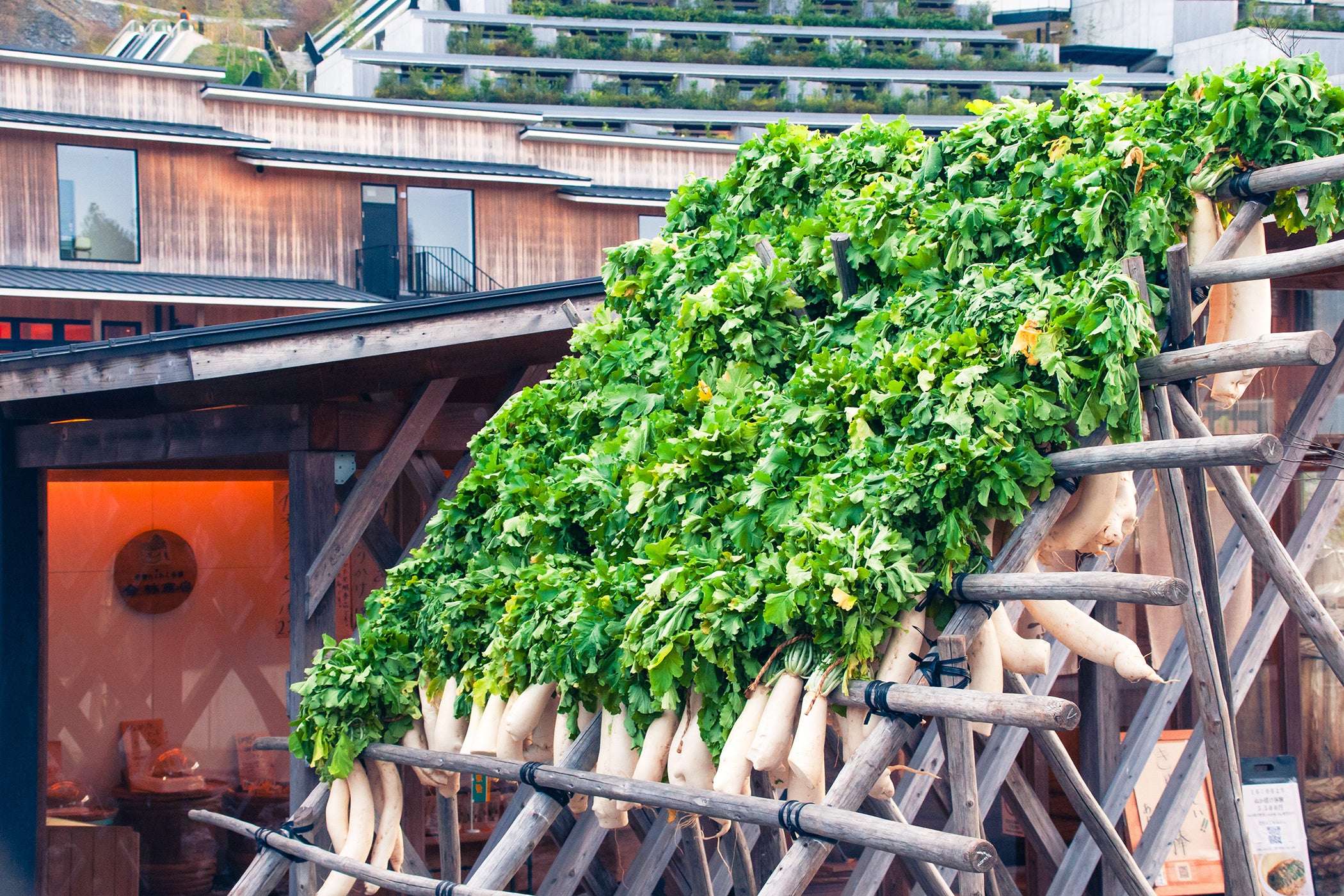 稲架掛けで干される御園大根