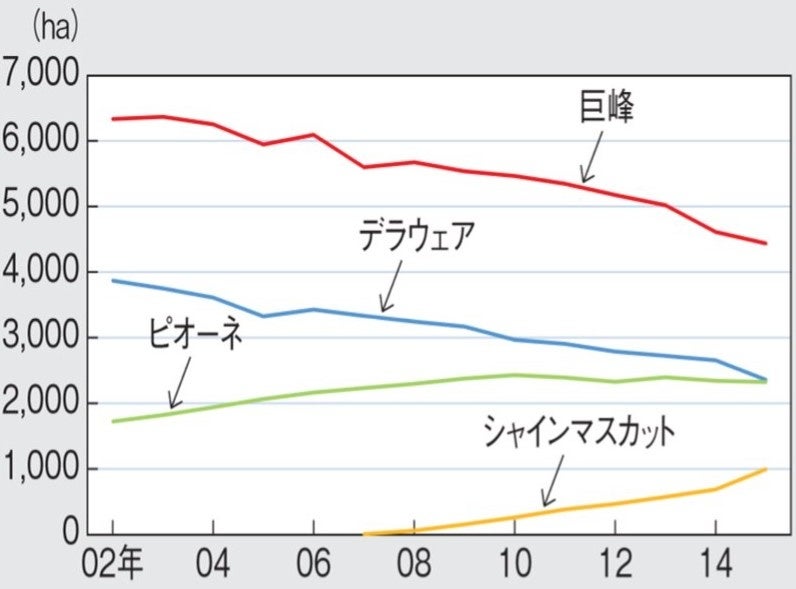 主要品種の栽培面積（農林水産省「特産果樹生産動態等調査」より）