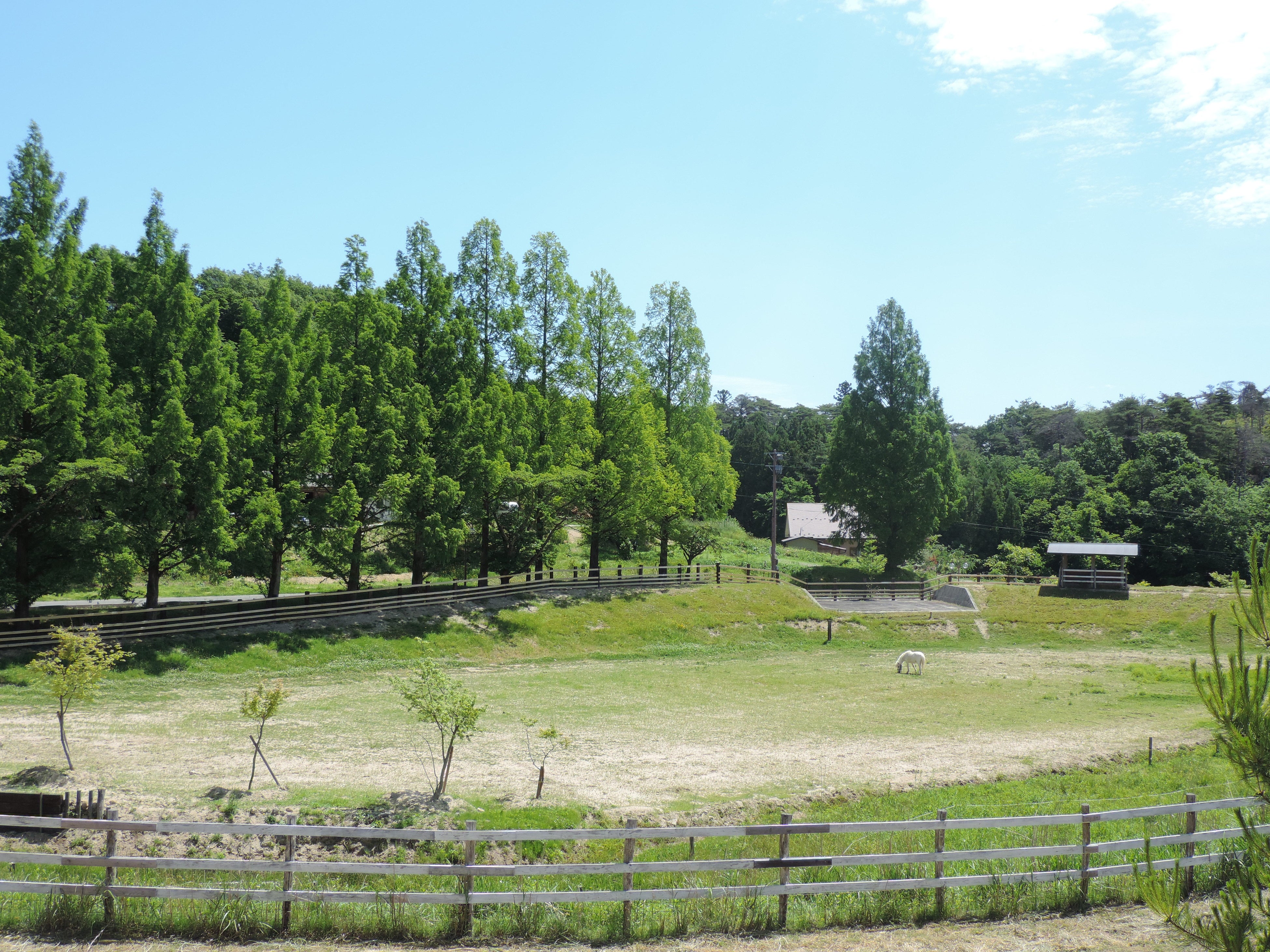 共生事業を展開する本宮市のKふぁーむ