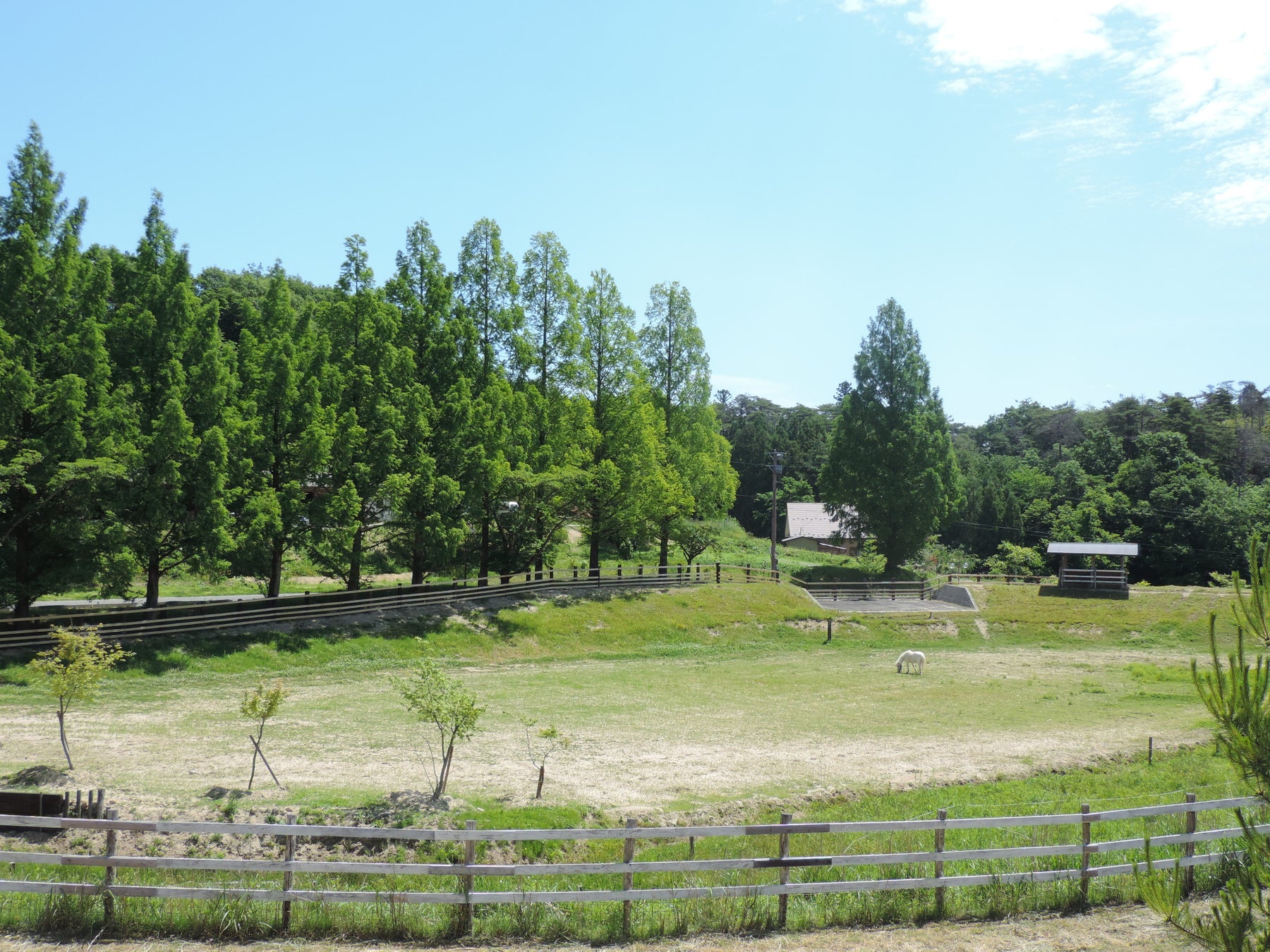 共生事業を展開する本宮市のKふぁーむ