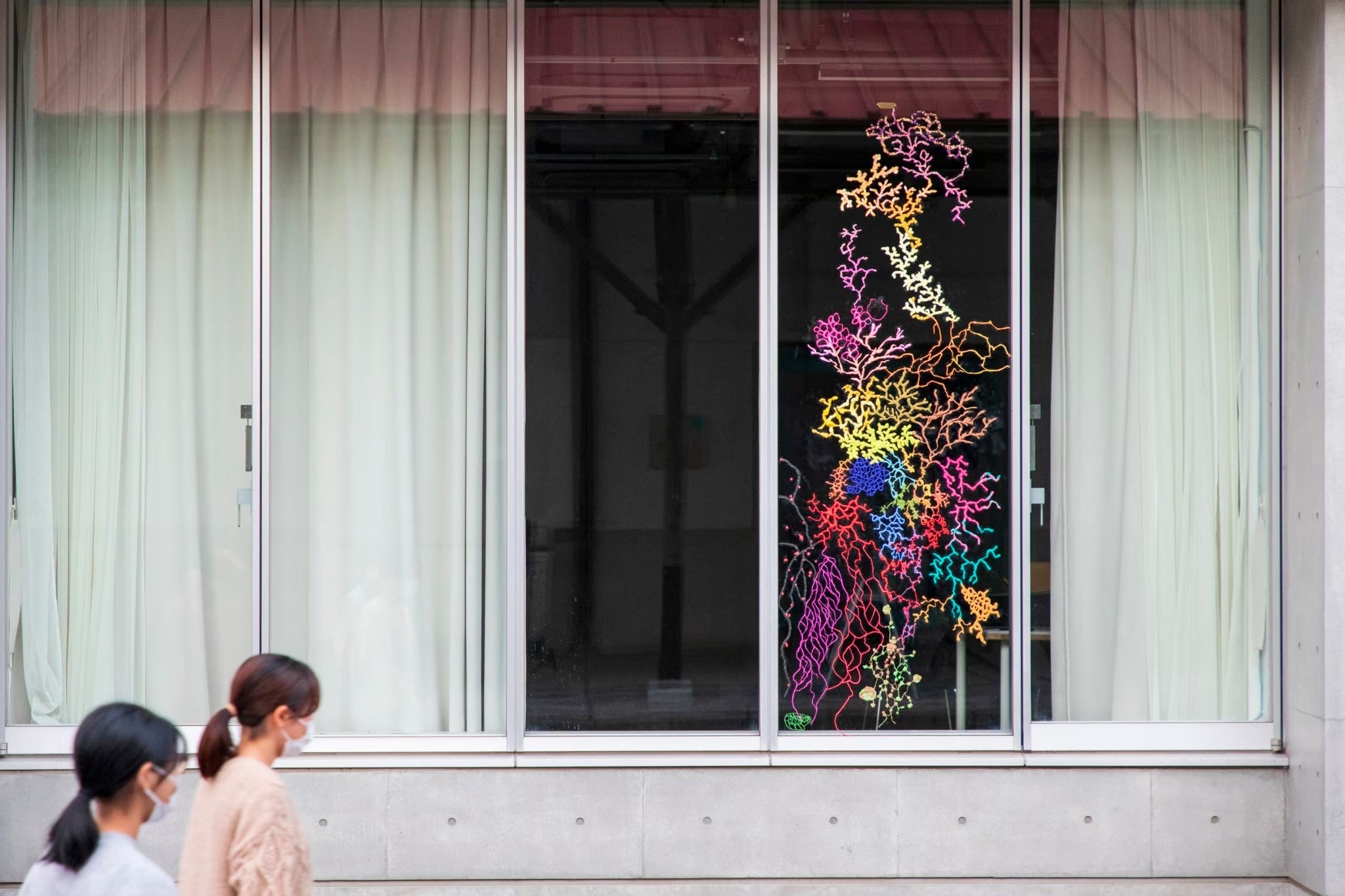 秋田公立美術大学 粘菌研究クラブ 《粘菌模触実験 ぺたぺた・もにょもにょ》2021 年 撮影：草彅 裕