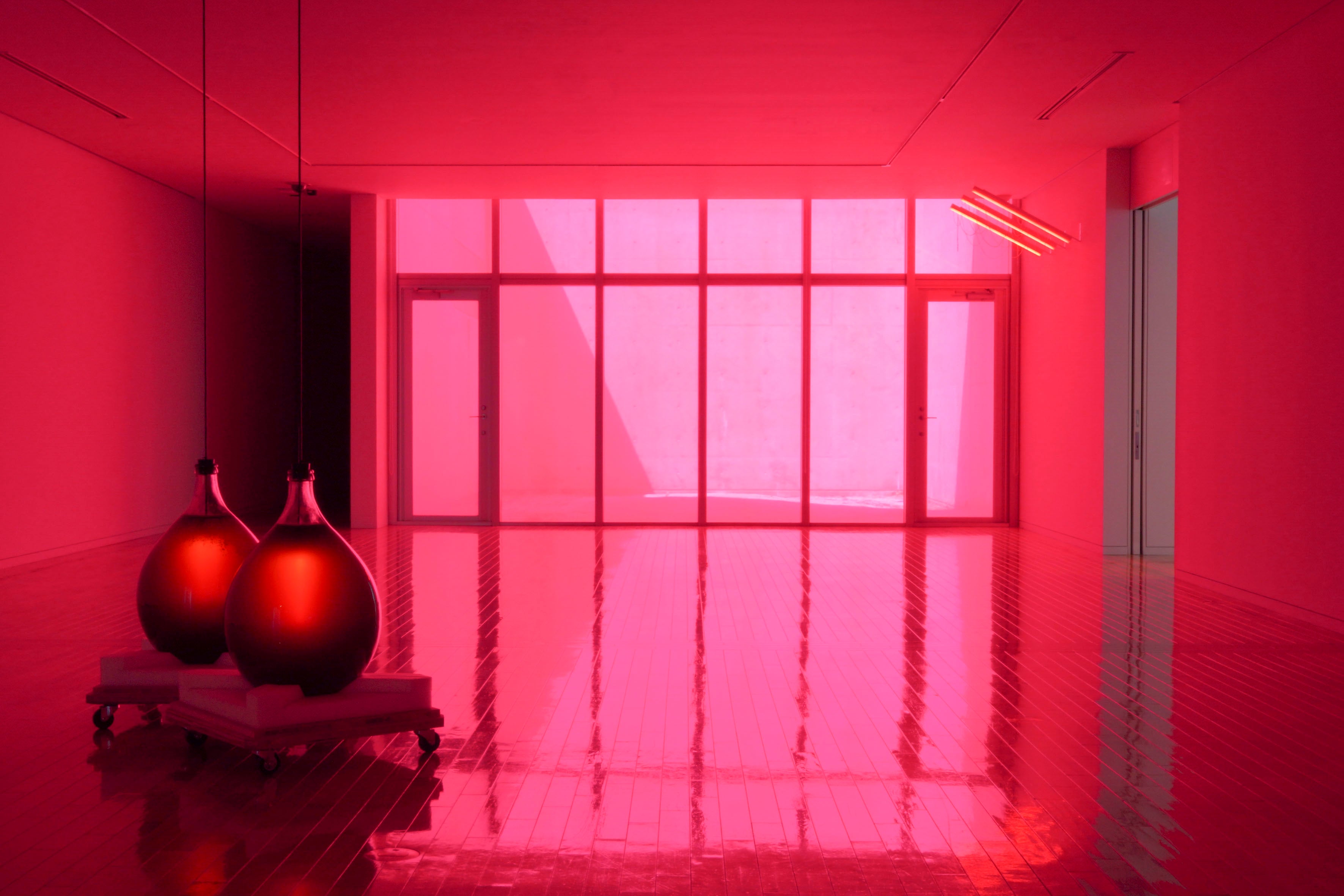 展示風景：「動詞を見つける」小海町高原美術館［長野］2022年