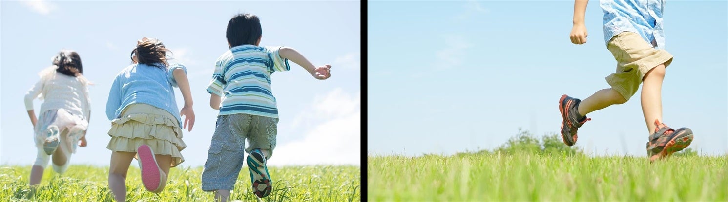 ※画像はイメージです