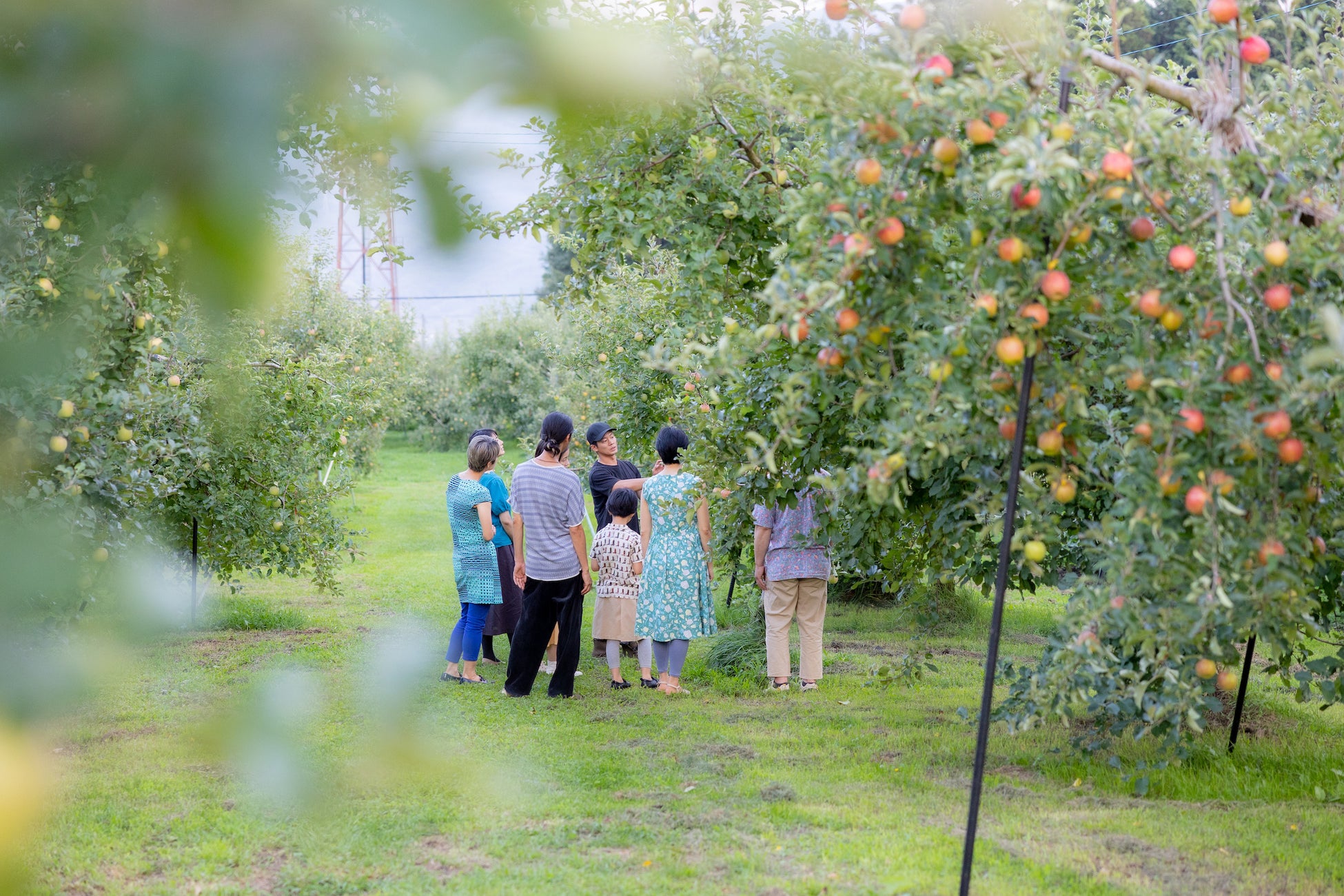 農家さんと一緒に農園散歩