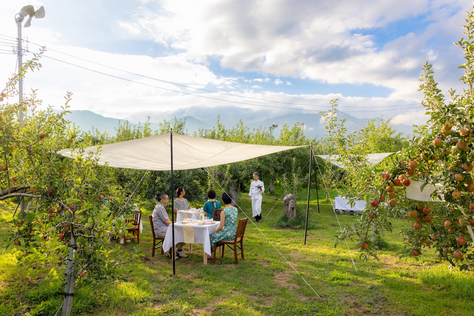 Orchardレストランまつかわのランチ