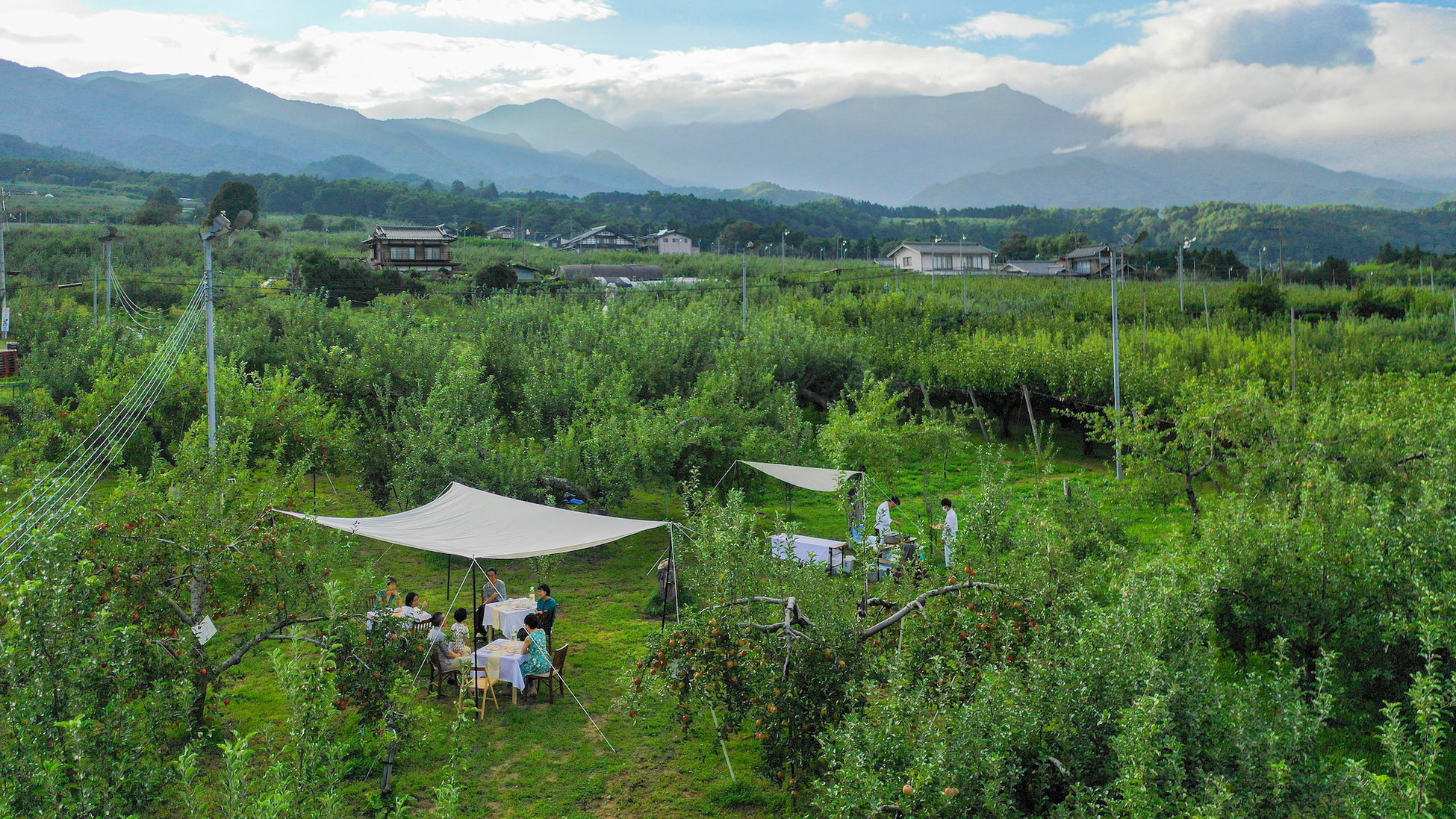 中央アルプスと果樹園の風景