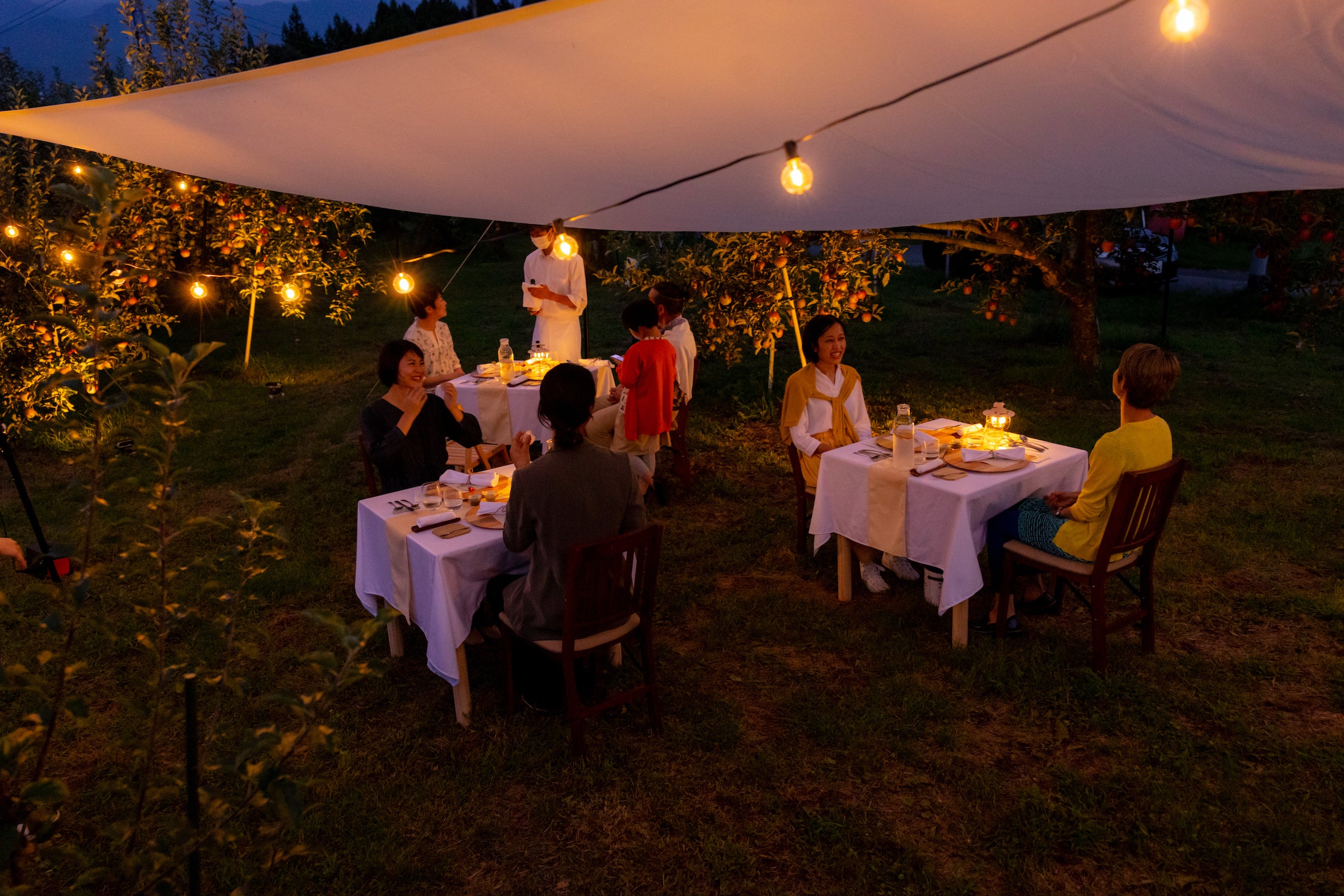 Orchardレストランまつかわ