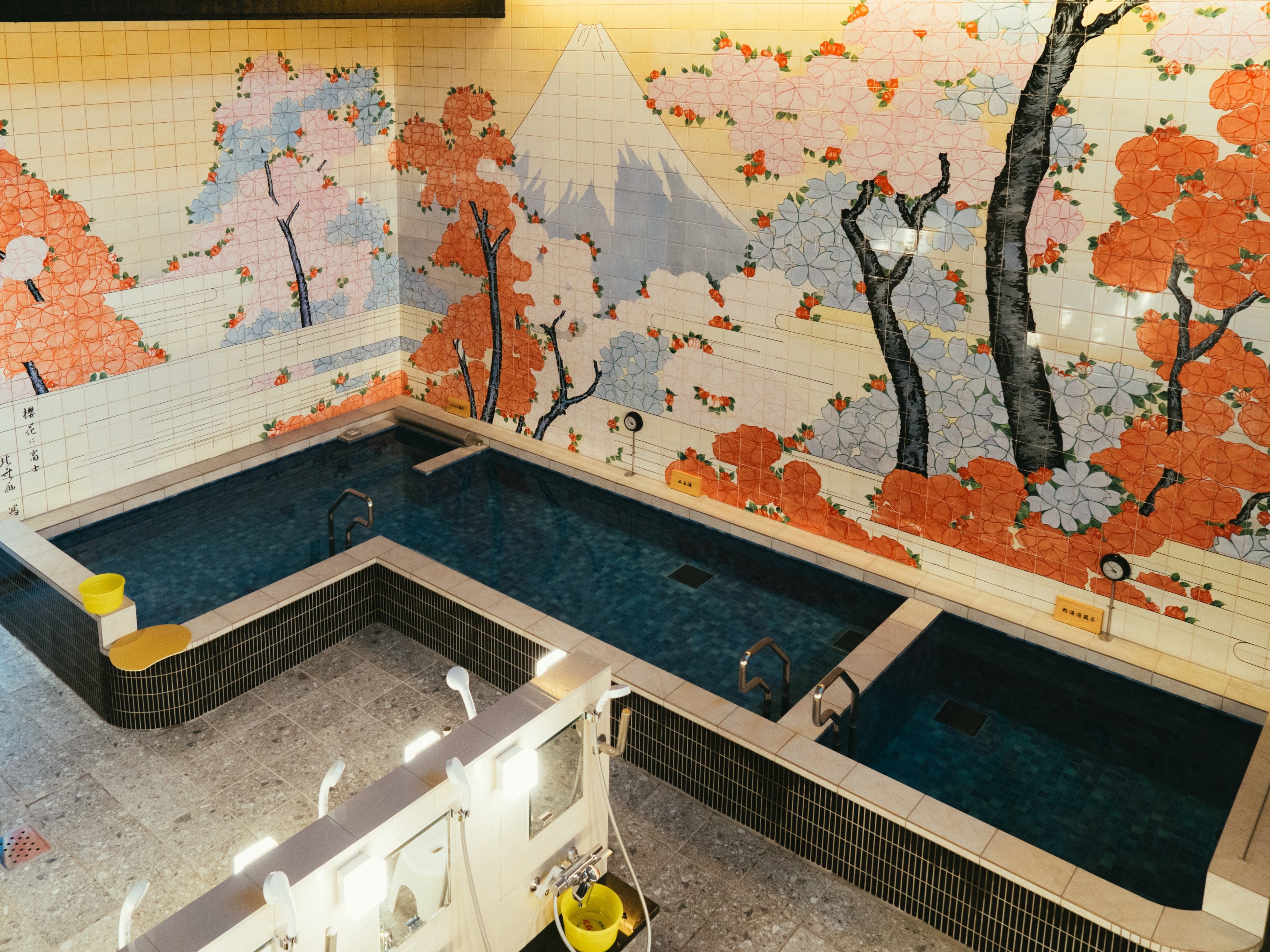 内湯：男湯(富士山と桜吹雪のタイル画)