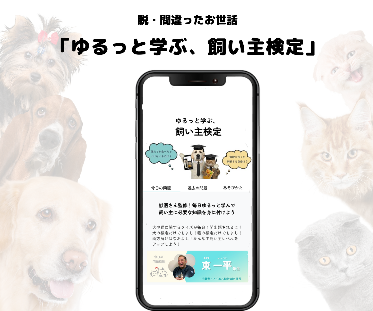 犬や猫のことをクイズ「ゆるっと学ぶ、飼い主検定」
