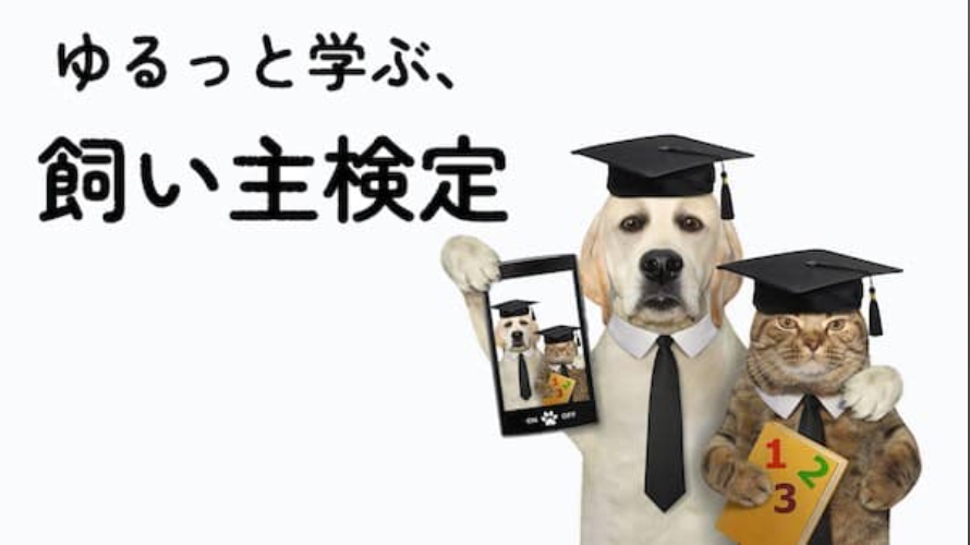 犬猫に関するクイズを毎日出題「ゆるっと学ぶ、飼い主検定」