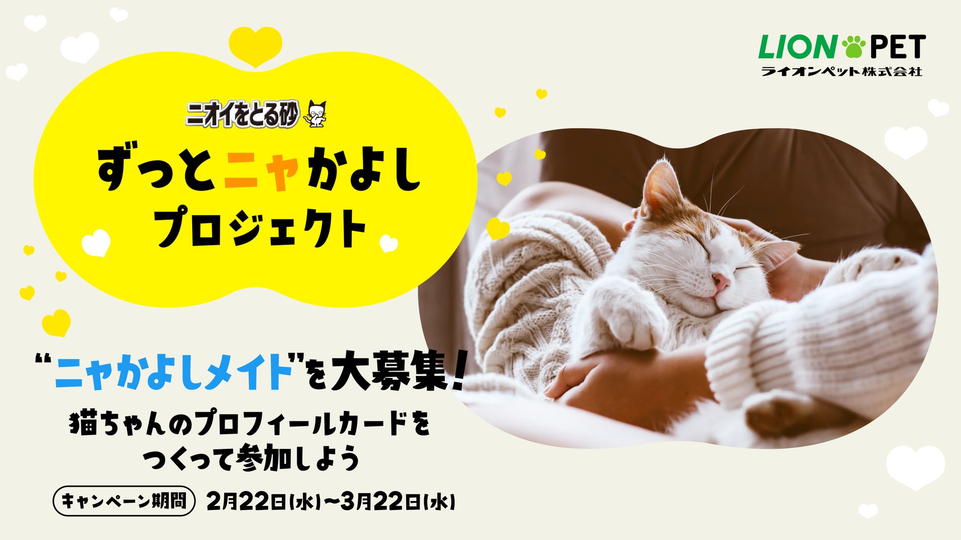 【独自調査をきっかけに、理想と現実のギャップを埋めて“なかよし