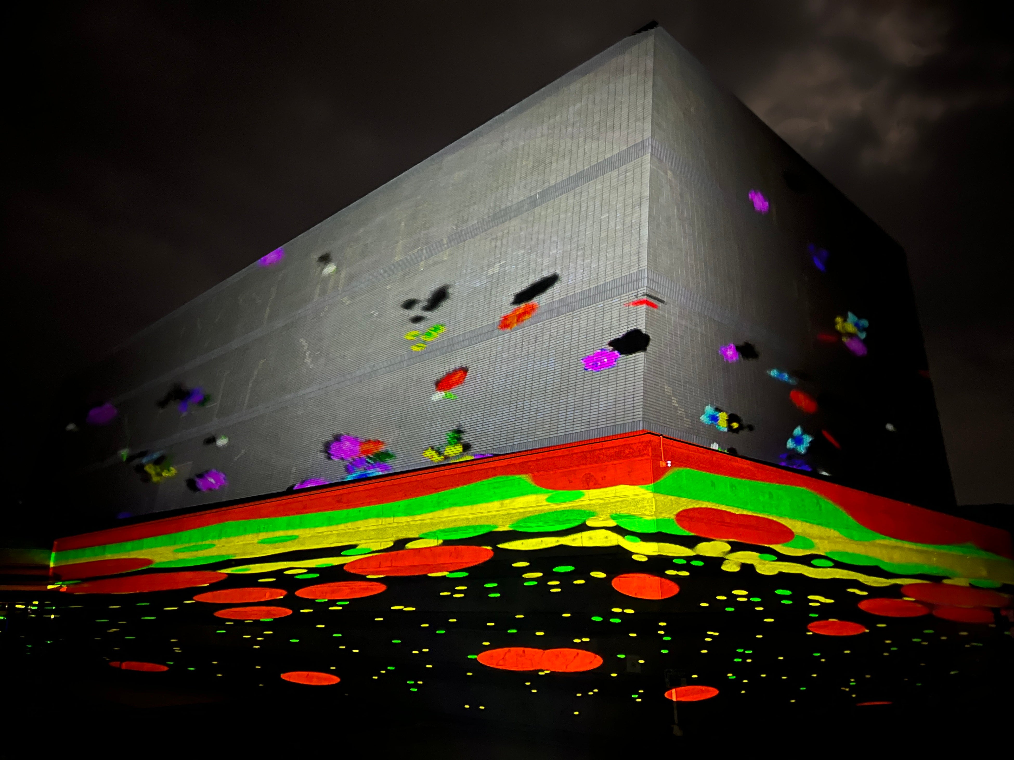 描いた絵を３Dアニメーションで投影