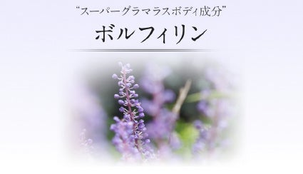 スーパーグラマラスボディ成分 ボルフィリン