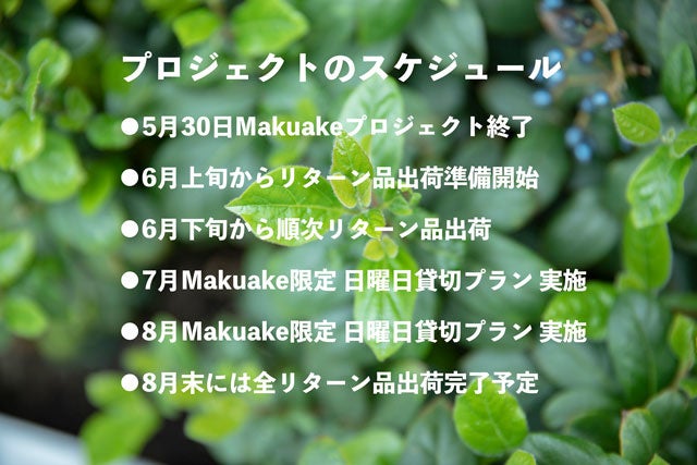 プロジェクトスケジュール