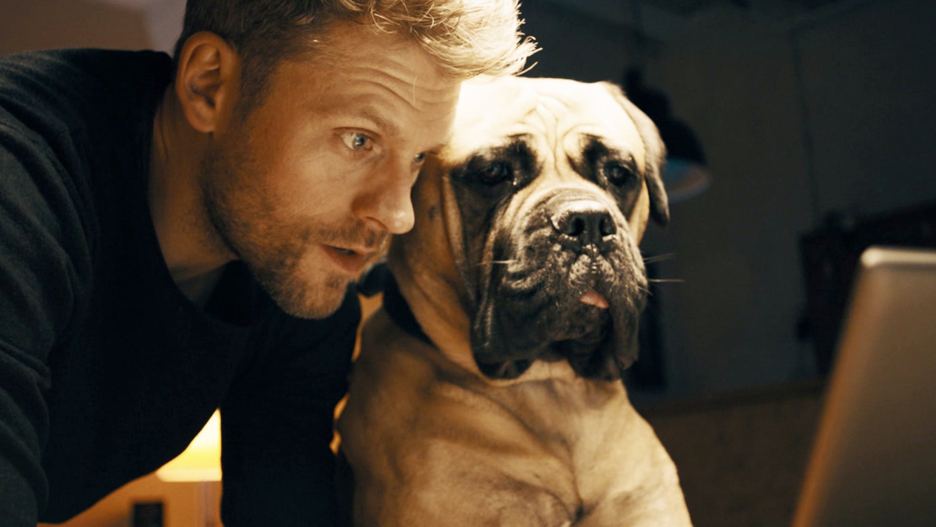 「ロッキー・アンド・ザ・コップ　最強の相棒」　 © 2019 Bantry BAY, SAT1