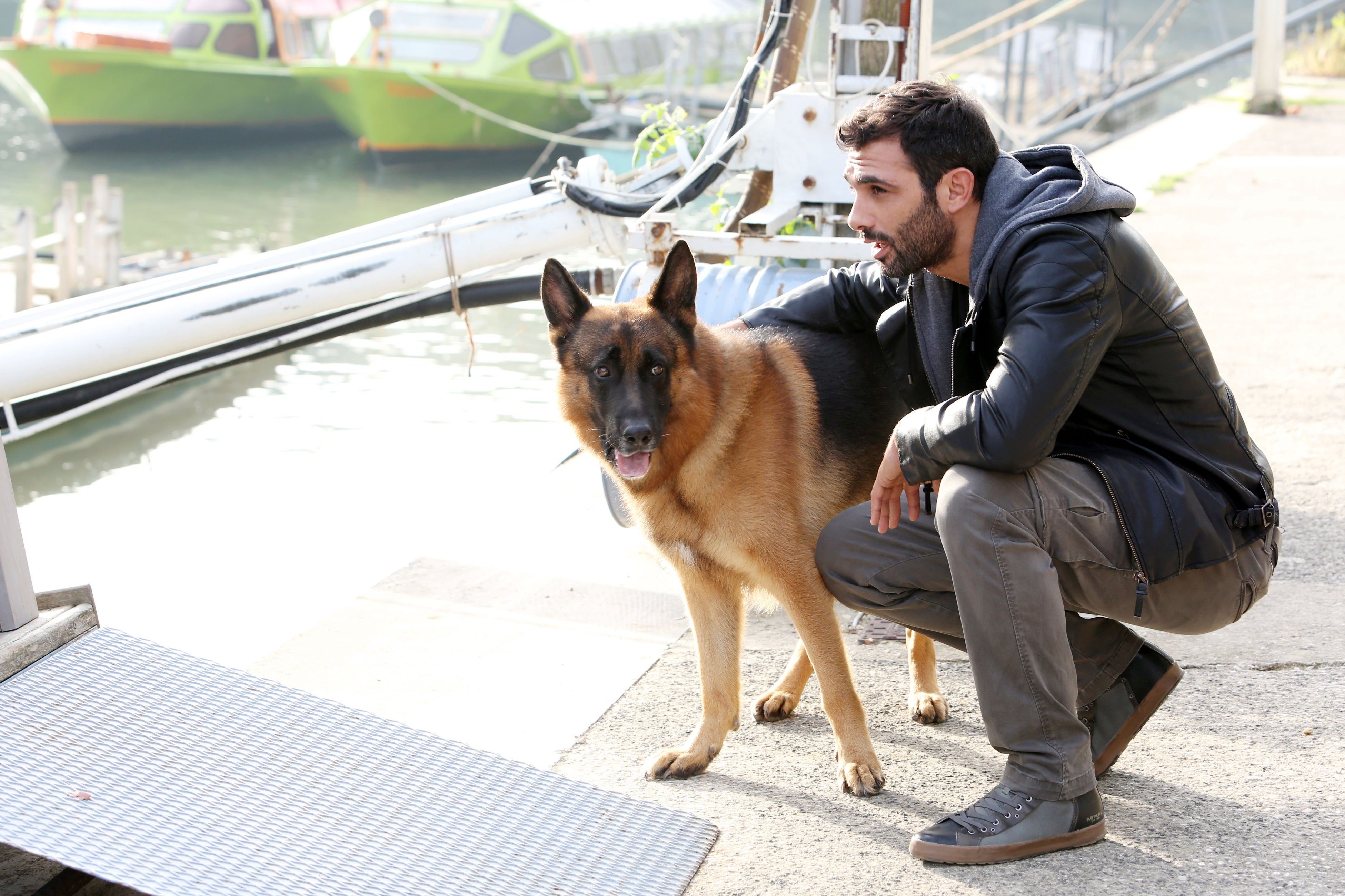 「マルコ＆レックス～ローマ警察シェパード犬刑事」  © DOG’S LIFE SRL 2013