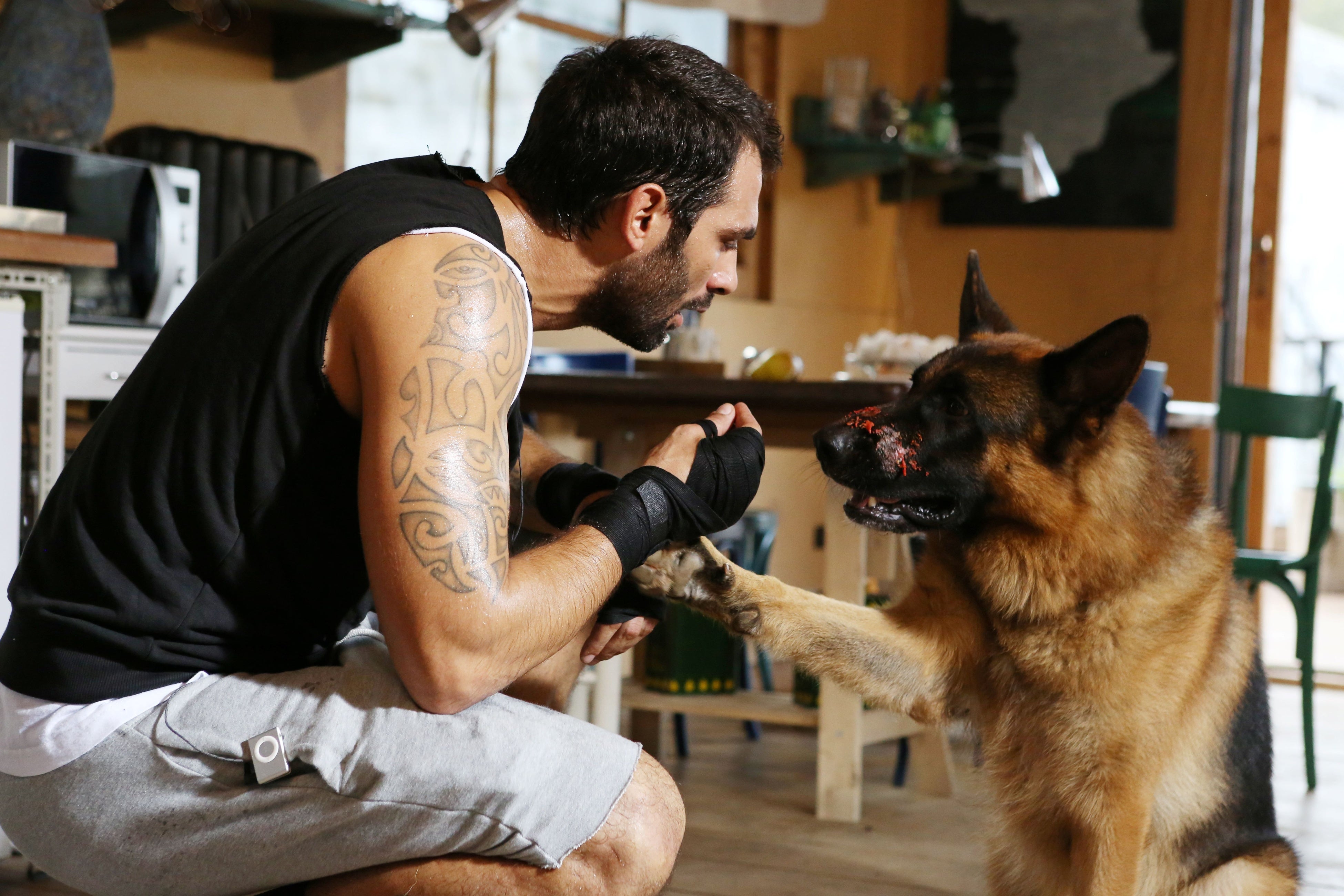 「マルコ＆レックス～ローマ警察シェパード犬刑事」 © DOG’S LIFE SRL 2013