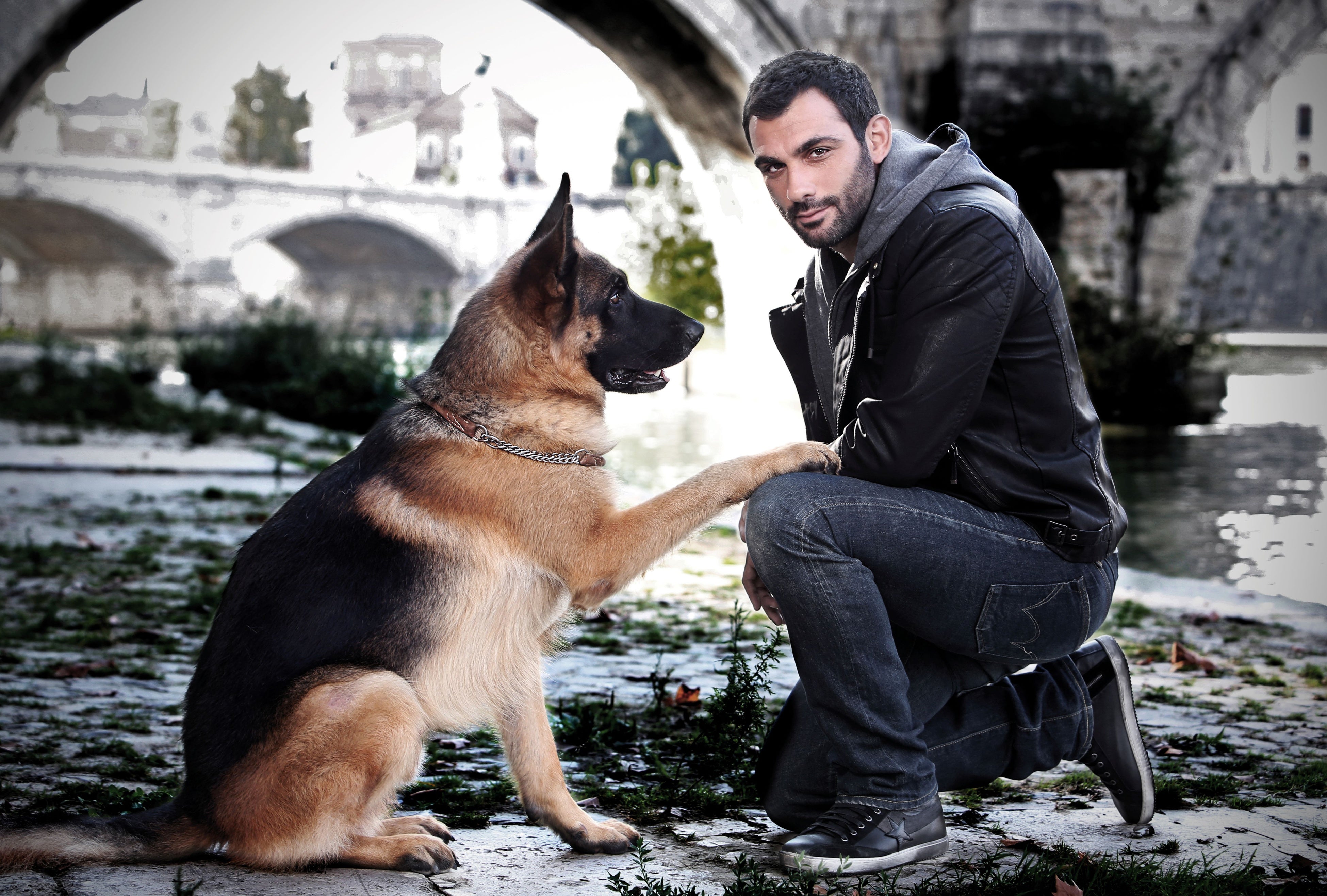 © DOG’S LIFE SRL 2013