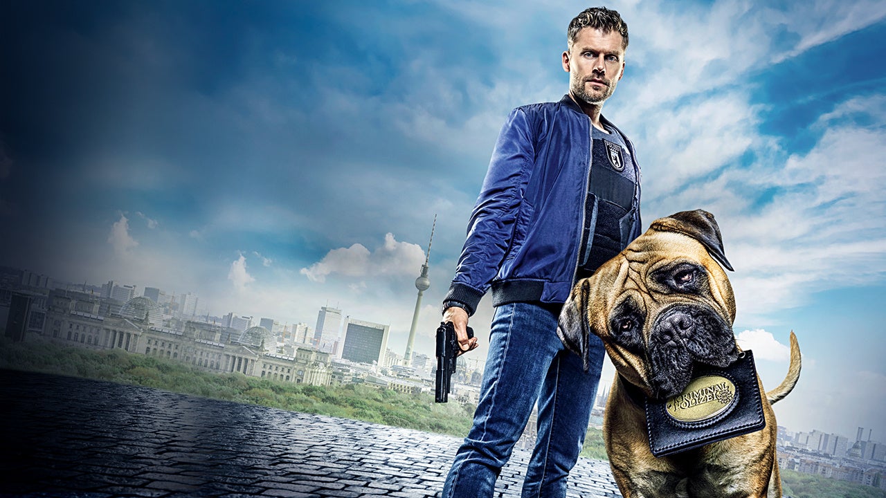 © 2019 Bantry BAY, SAT1