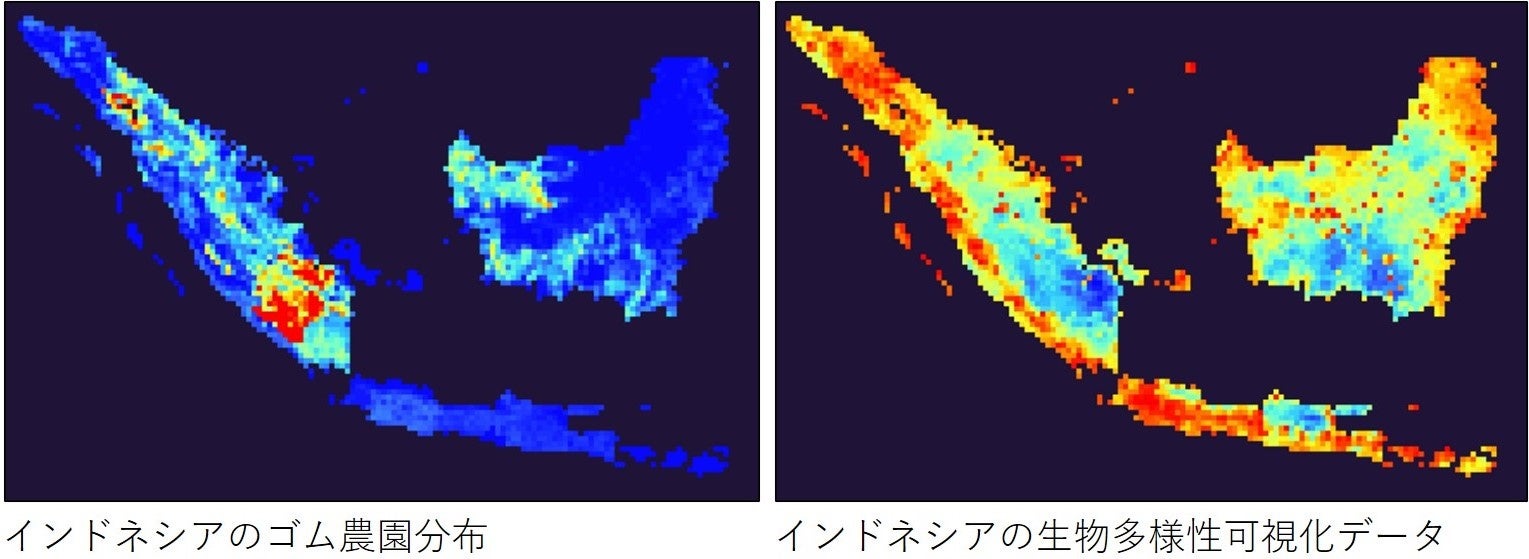 ＜分析イメージ図＞