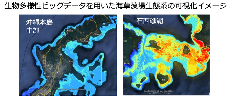 ブルーカーボンを見える化する」AI開発コンペを開催！ | 株式会社