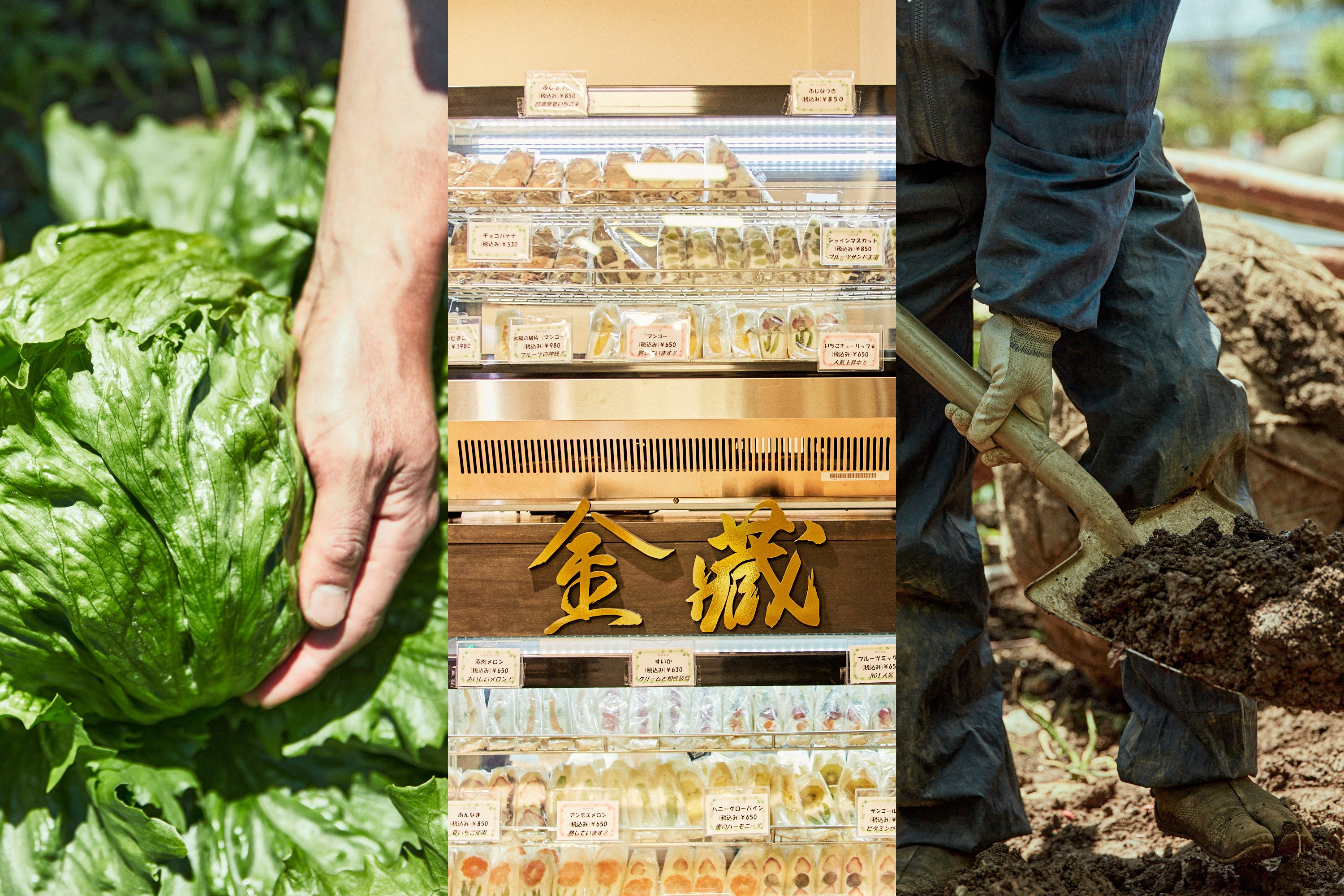 施設に関わる様々な地域事業者