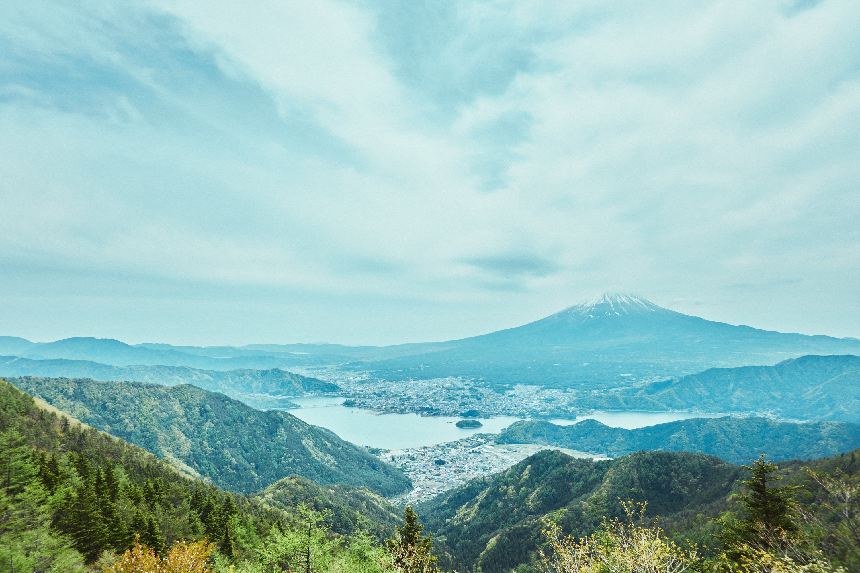 桃農家、葡萄農家 山下果実園 #農業 #産地直送 #桃農家 #葡萄農家 #桃 #農girl農