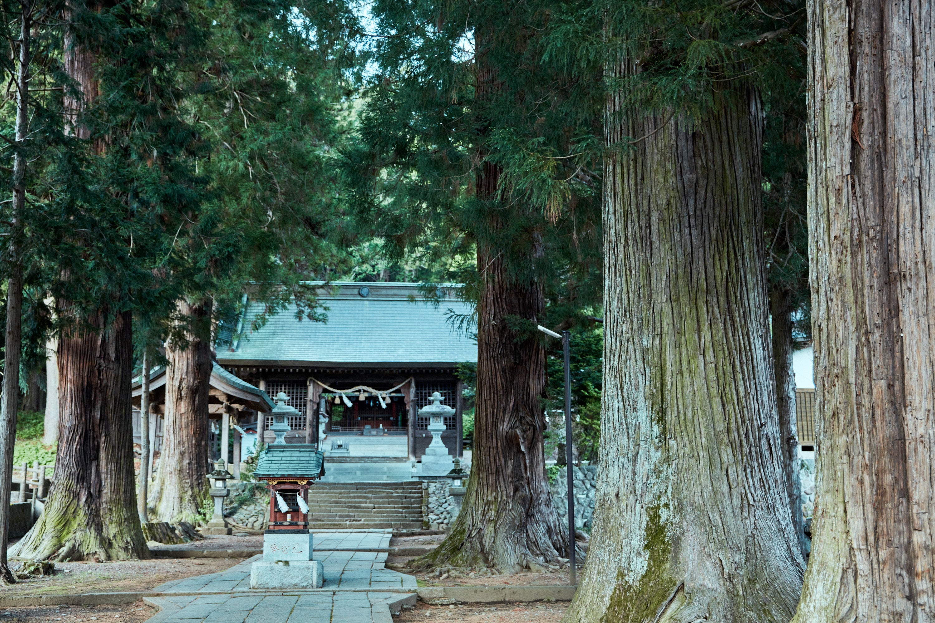 古くからこの地を守る、河口浅間神社