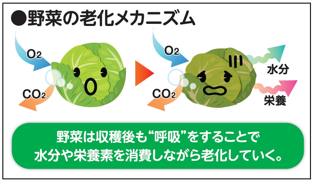 (図1)